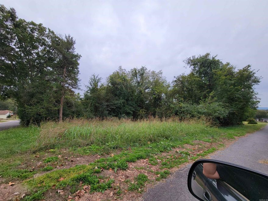 2 lots in the center of Morrilton zoned R-2 and a great location for multi-family use. Close to city park and schools.