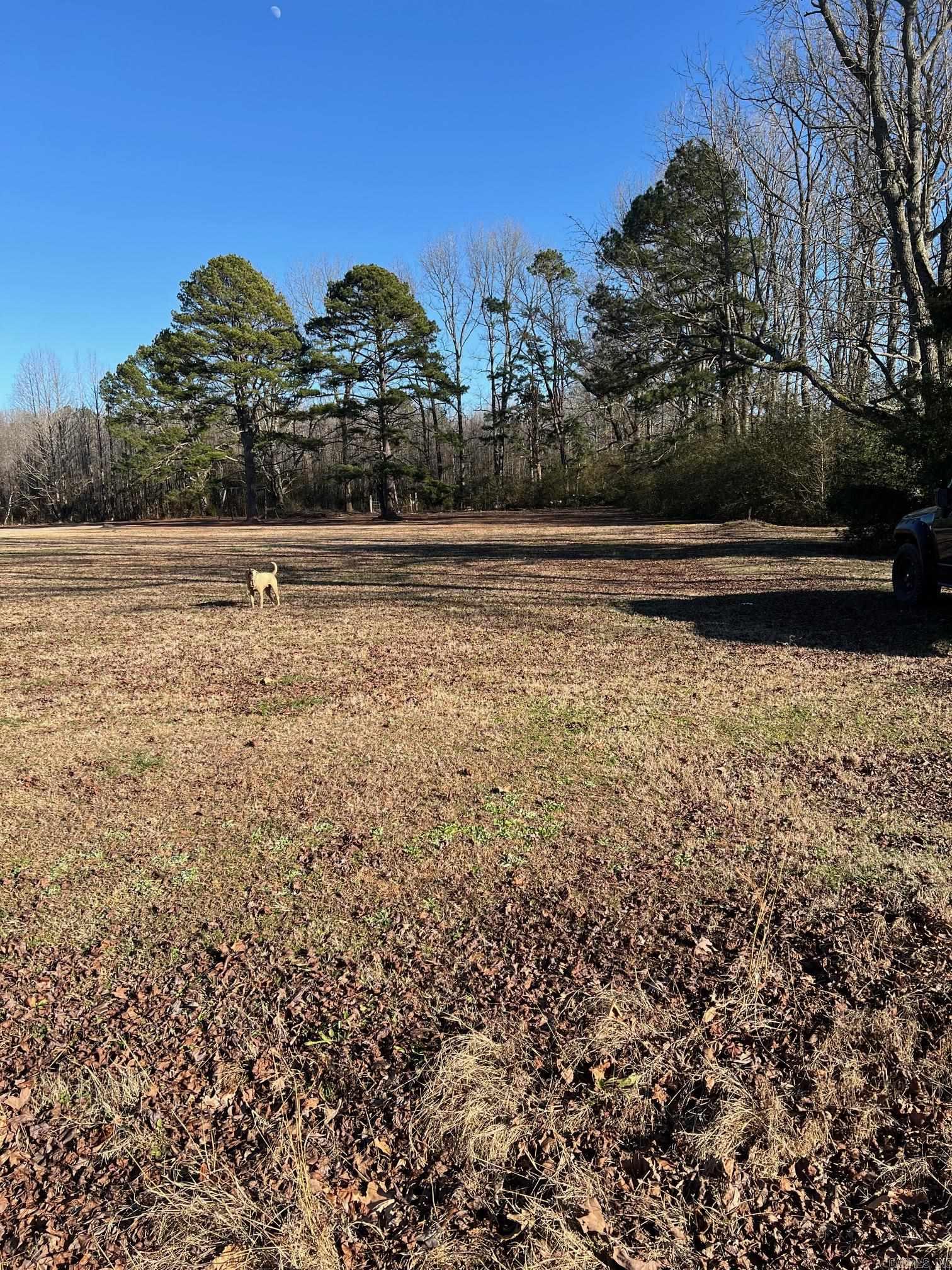 Flat not restricted lot in Cleveland. Build a house or move a house in. Water and electric are available. Owner financing is available