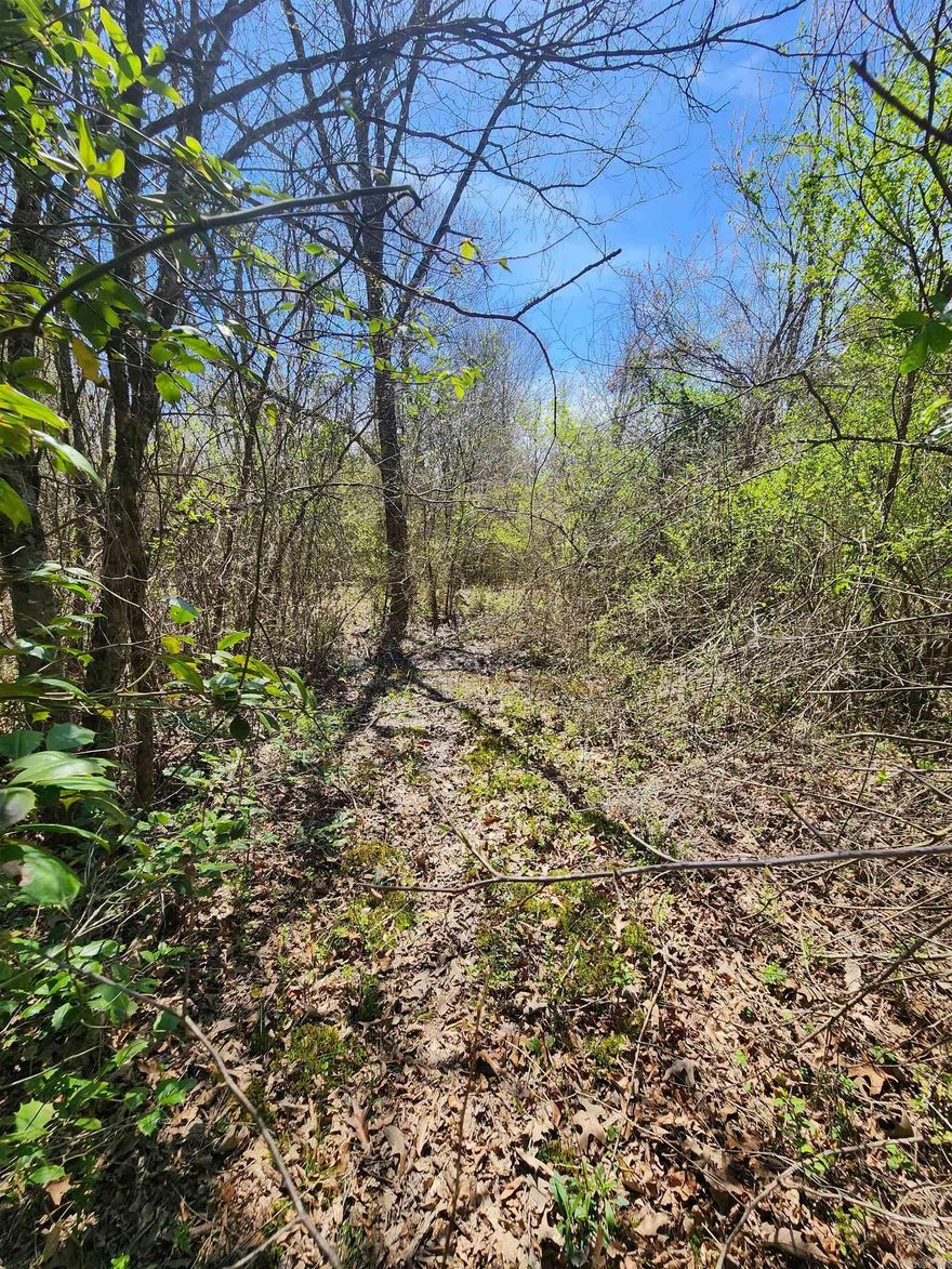 Residential, wooded lot inside city limits. This would make a great place to build your dream home! Additional lots available.