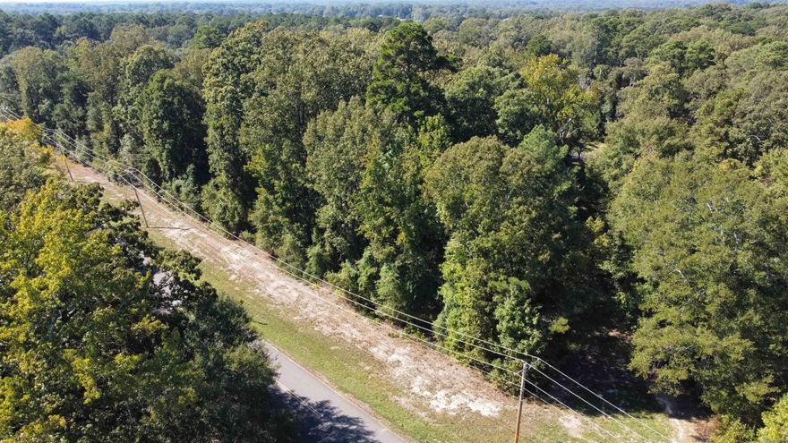 Prime 1.4-acre lot located in the northeast section of town, in the āYā between N. Calion Rd. and N. Smith Ave. This high-traffic area offers excellent visibility and accessibility, making it ideal for commercial or residential development. A buildable lot with great potential in a convenient location.