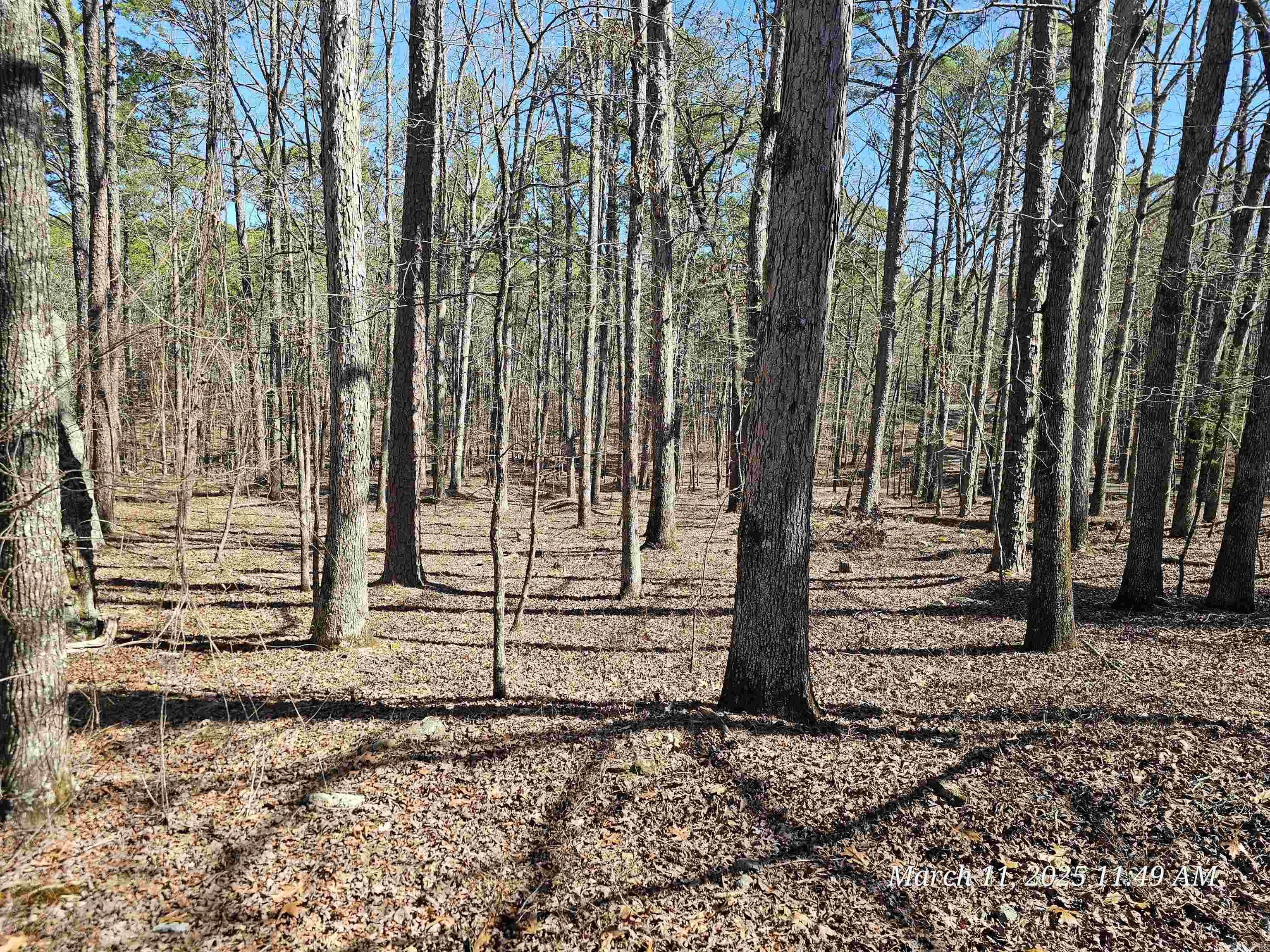 Great, level, corner lot on the west side of this gated community of Hot Springs Village is ready for you to bring your home plans & vision to life! Located near shopping, restaurants, medical, and Quachita State Park, it's the ideal place to build your dream home.
