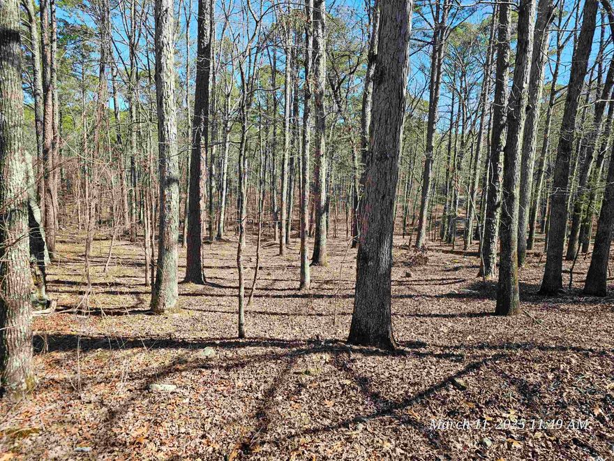 Great, level, corner lot on the west side of this gated community of Hot Springs Village is ready for you to bring your home plans & vision to life! Located near shopping, restaurants, medical, and Quachita State Park, it's the ideal place to build your dream home.