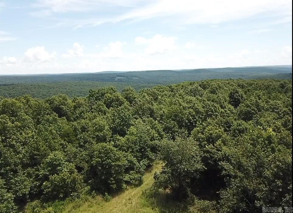 55.45 Acres of Ozark Mountain Land – $190,400 | Sunnyland Road, Stone County AR Looking for the perfect hunting retreat or future homesite? This 55.45-acre tract in the heart of the Ozarks offers excellent access via county road, power and water availability, and prime recreational features. ATV trails wind through the woods, and wildlife is abundant—white-tail deer, turkey, birds, and more. Located just 20 minutes from Mountain View, Arkansas, enjoy nearby attractions like the Ozark Folk Center, picking on the square, great shopping, and restaurants. Whether you want a quiet getaway, hunting base, or investment in land, this one is worth a look!