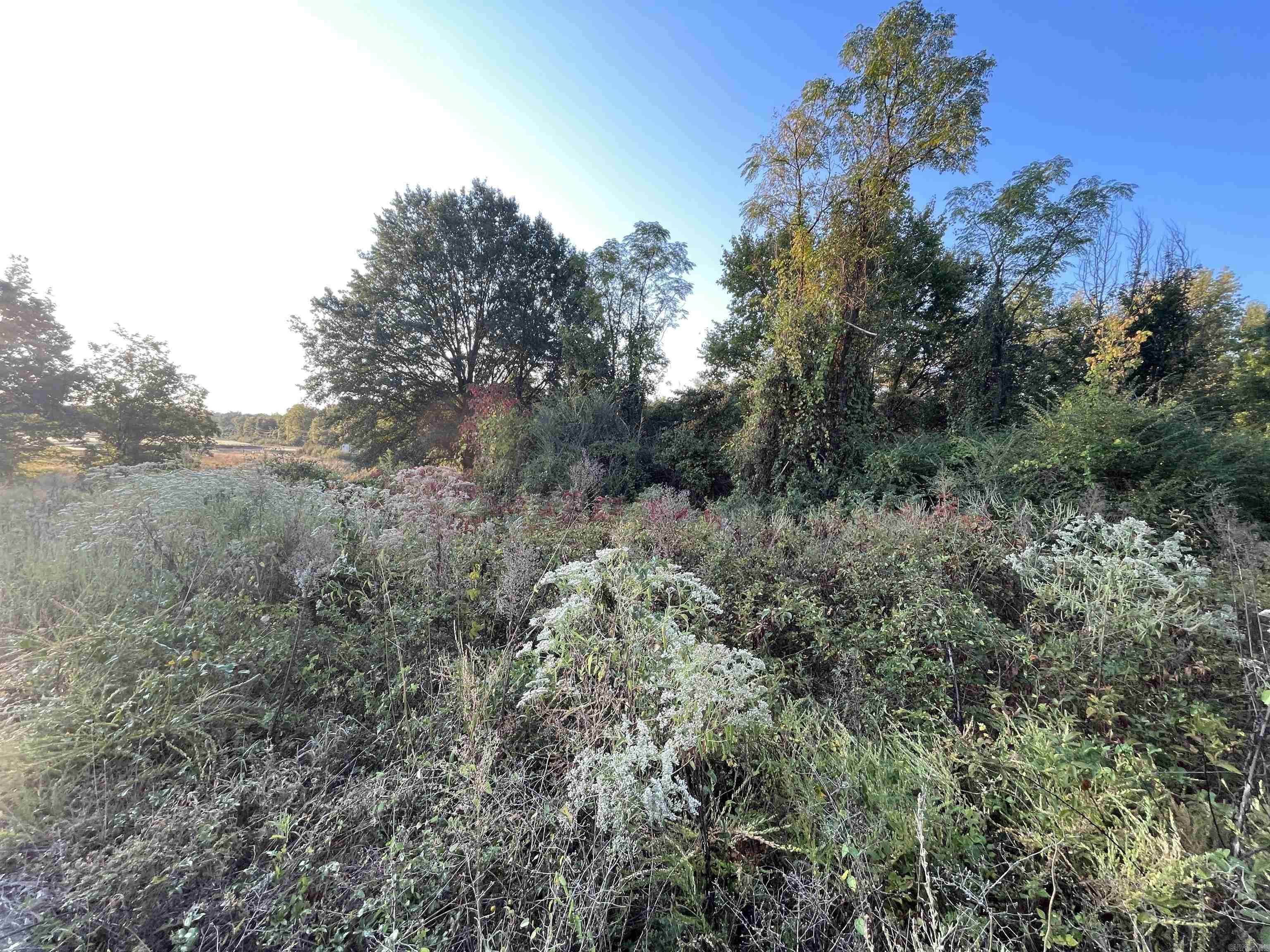 Country Estates - Land