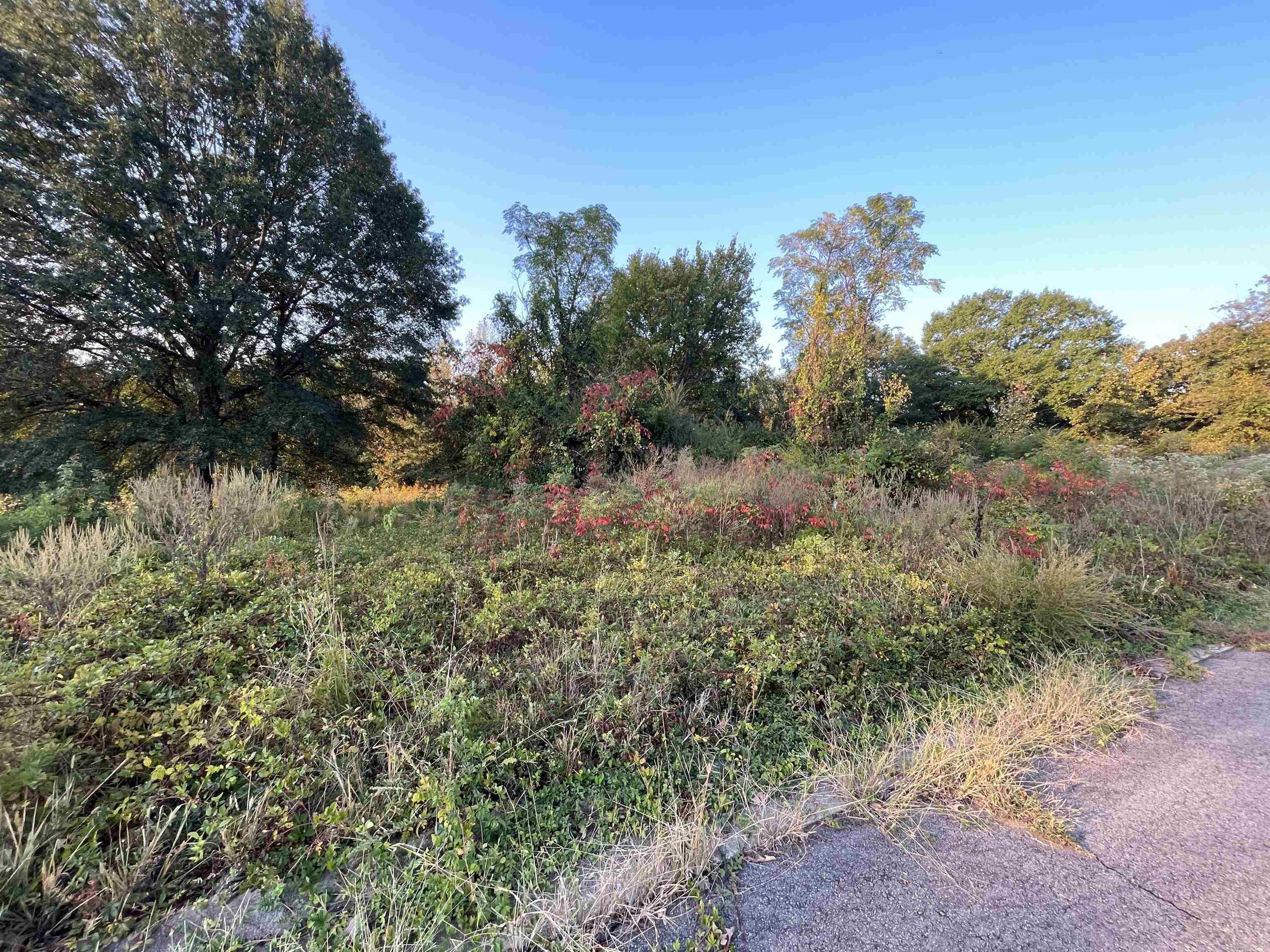 Country Estates - Land