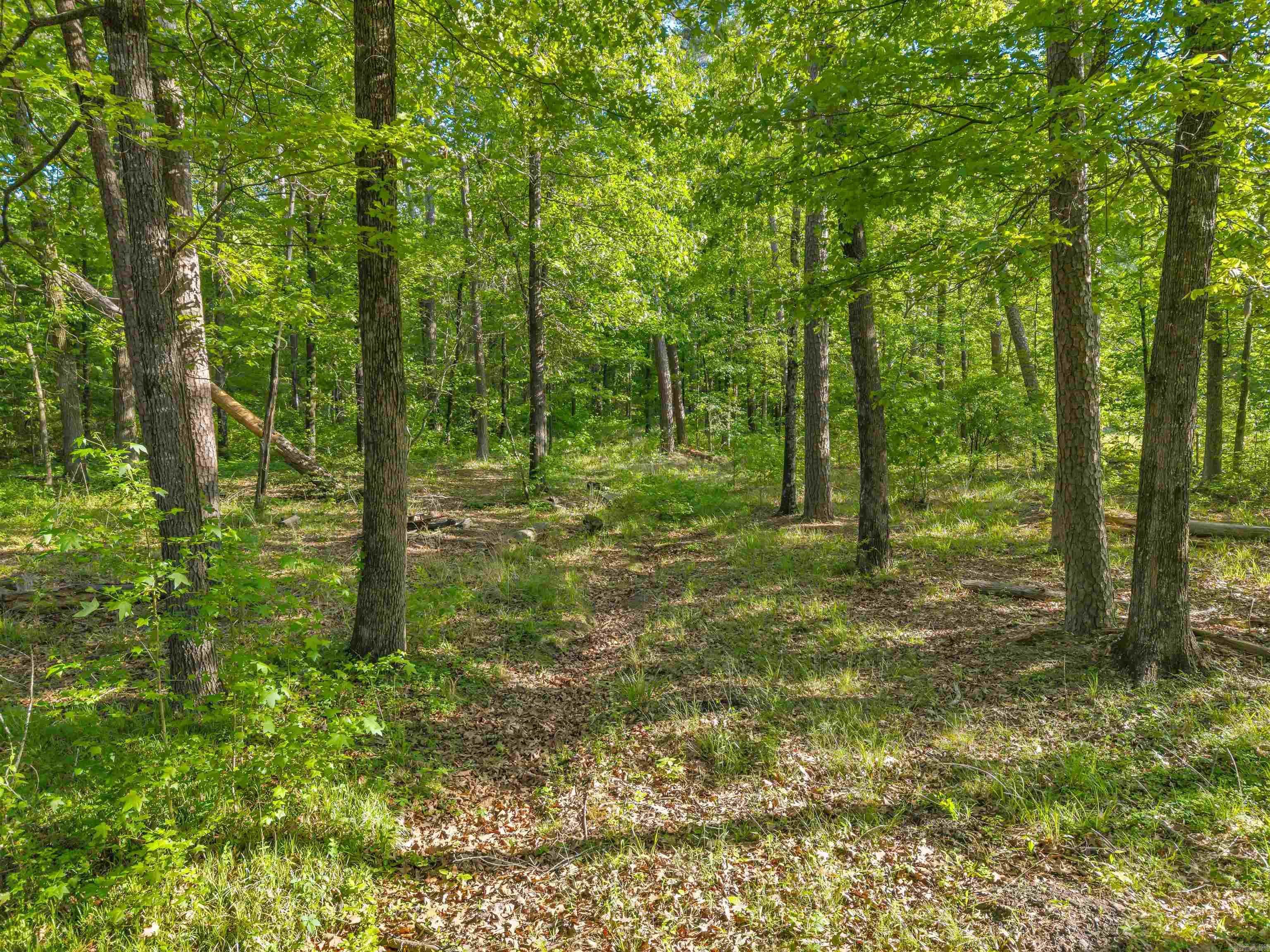 PINE VALLEY - Residential