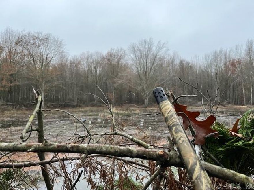 I'm to happy to introduce a small but mighty green timber reservoir affectionately known as “Busch Light Duck Woods”. It’s on the east side of Woodruff County and just north of the famed Coca-Cola Woods. Its' single duck hole is positioned in the heart of the timber with a blind in place. The woods are very flat and easy to flood at the flip of a switch on the electric well. The property fulfills a lot of the requests we get from waterfowlers including a price tag well below a million dollars. Here’s a few highlights about the property: -30 acres m/l -$445,000 total price -Healthy, mast producing hardwood stand -Electric well -Leveed and easy to drain -Duck hole is plantable -Property is not encumbered -Duck blind in place Location is awesome on this one and the neighboring properties certainly add to the appeal for ducks. The size and price make this a perfect place for a weekend hunter or as an additional tract in your portfolio.  Seller only hunts it 6-8 times a year killing 10-15 on average and as many as 30 depending on the group and the day.  With a little local knowledge and a camera in the hole, you can pick your days!