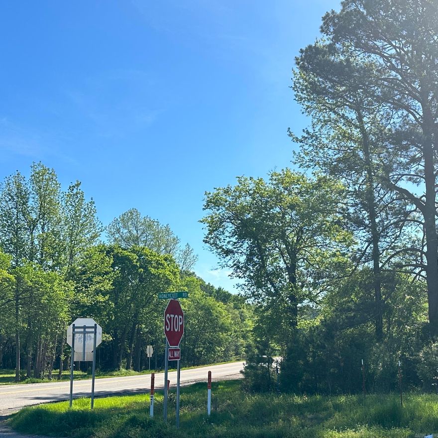 Property located at the corner of HWY 371 and 278. Great traffic visibility with city convinces. Approximately 6.01 acres, the opportunities are endless.