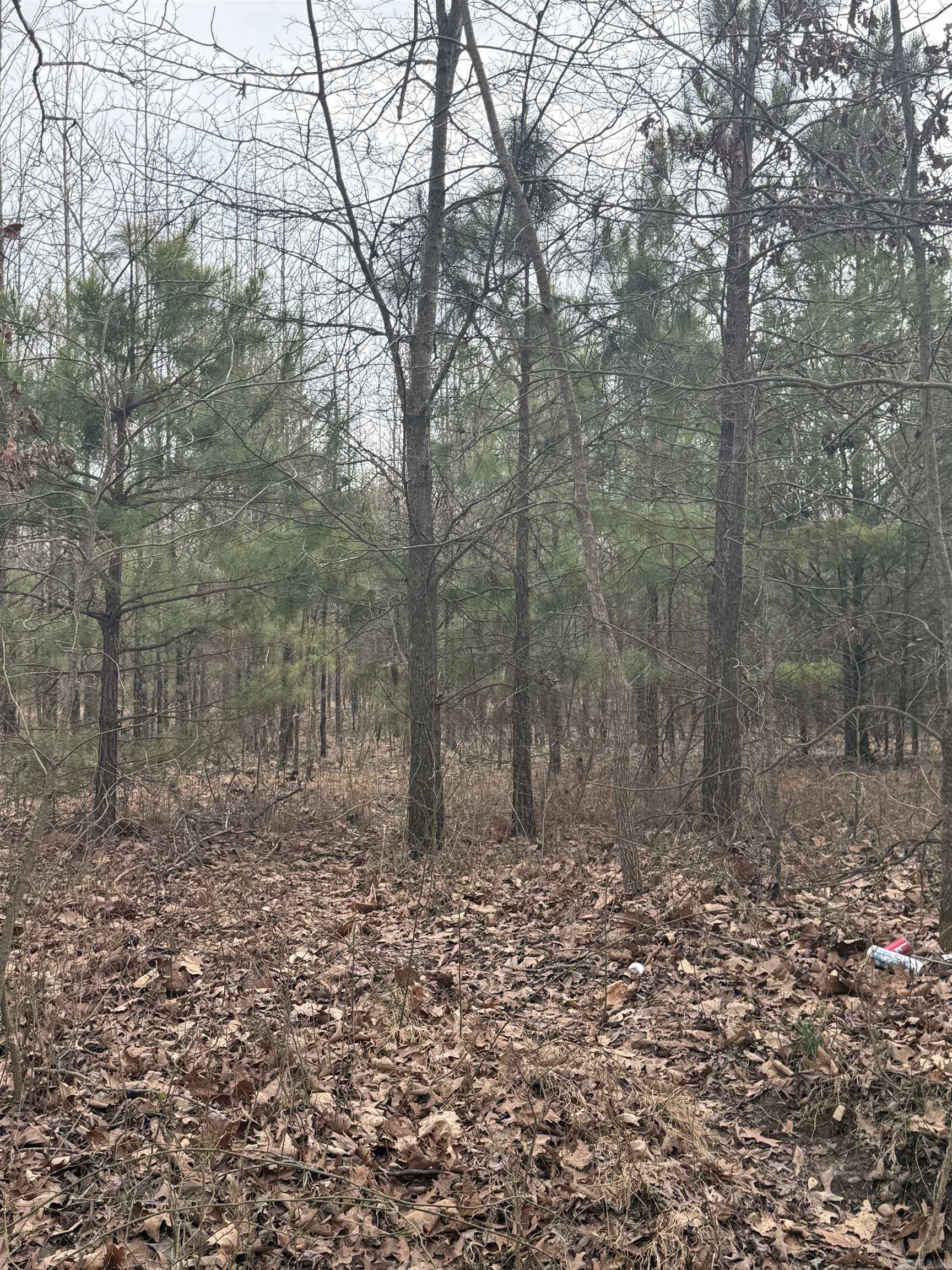 Not in Subdivision - Land