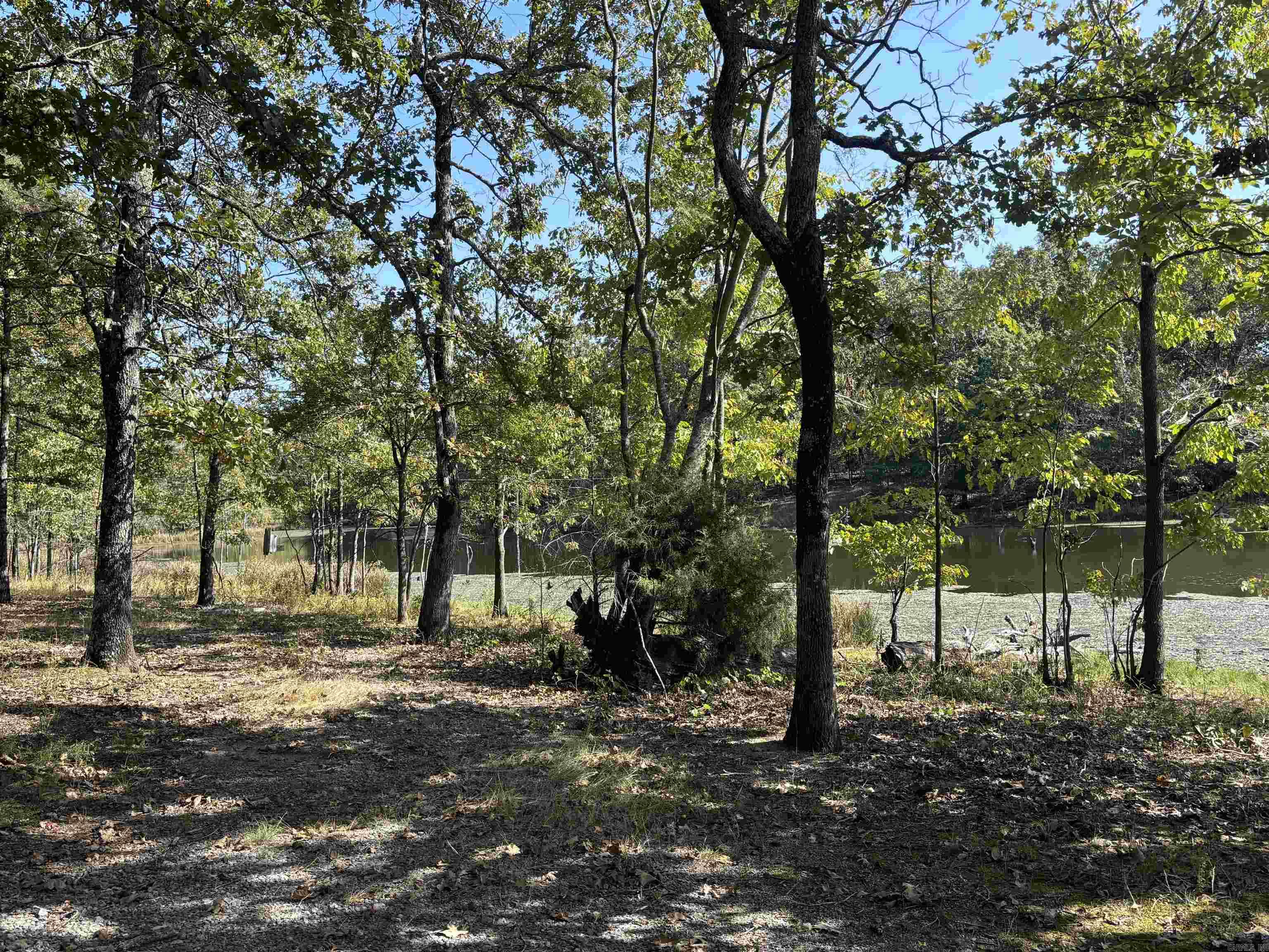 Dewitt, Arkansas 72042, United States, ,Residential,Active,36817