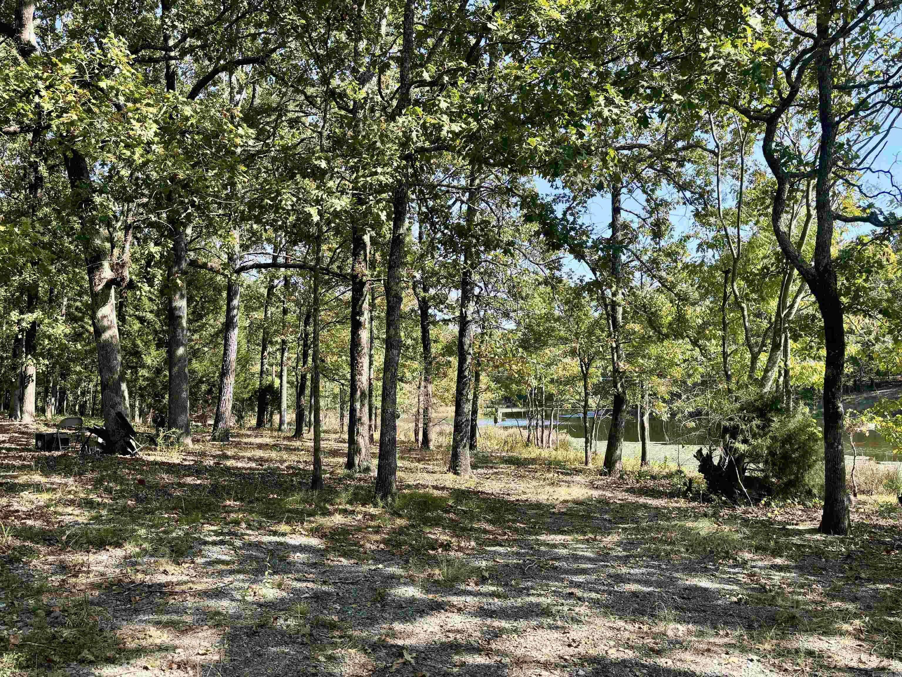 Dewitt, Arkansas 72042, United States, ,Residential,Active,36817