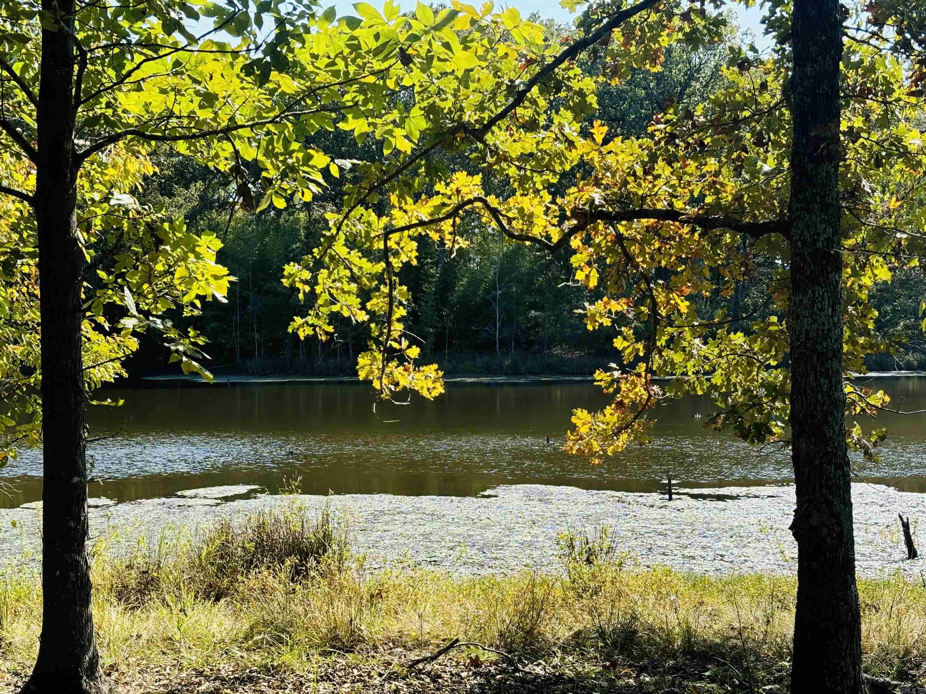 Dewitt, Arkansas 72042, United States, ,Residential,Active,36817