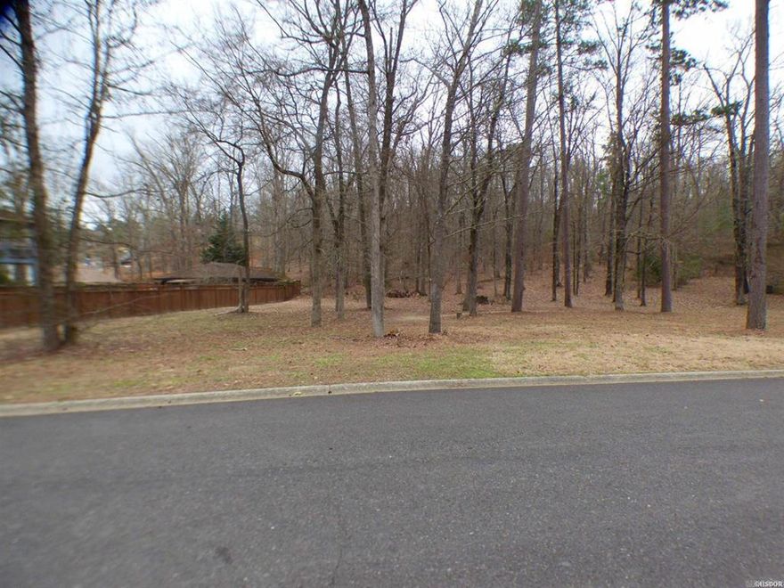 Across street from the lake. Boat launch app 200 yards down the street. Great almost level building lot in gated Lake Forest Sub. Open with a few trees, forest to the rear. Area of nice homes.