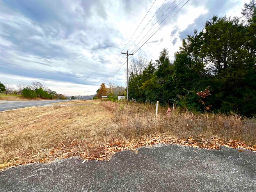 Located on busy highway 65 is this .84 tract that has lots of options!  Prev mobile home was on property and potentially has elec, water, and septic on site but buyer should verify.  Wooded, small paved drive also exists.  Great place to build or possibly have a business due to high traffic!