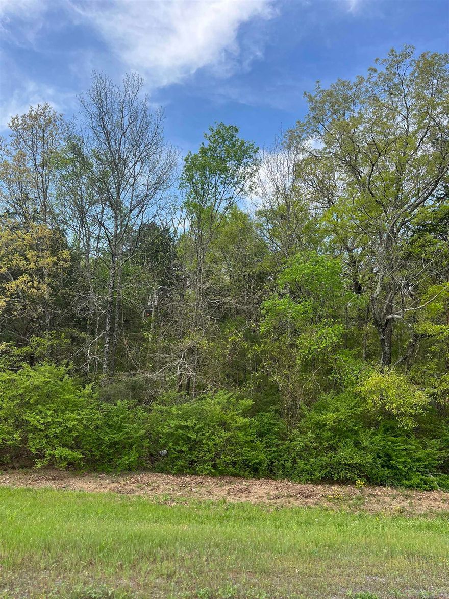 This property is close to everything shopping, restaurants, public schools, medical clinics, a library and hospital. With Greers Lake being just minutes away  to enjoy swimming, water sports, boating, fishing camping, hiking, biking to enjoy exciting adventures. The property is in a nice, quiet neighborhoods.