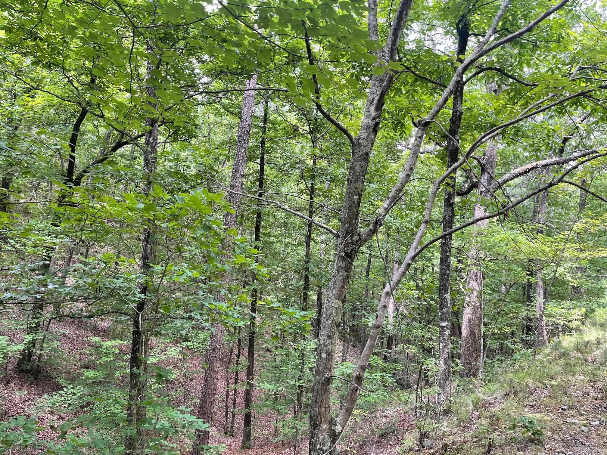 Metes & Bounds - Land