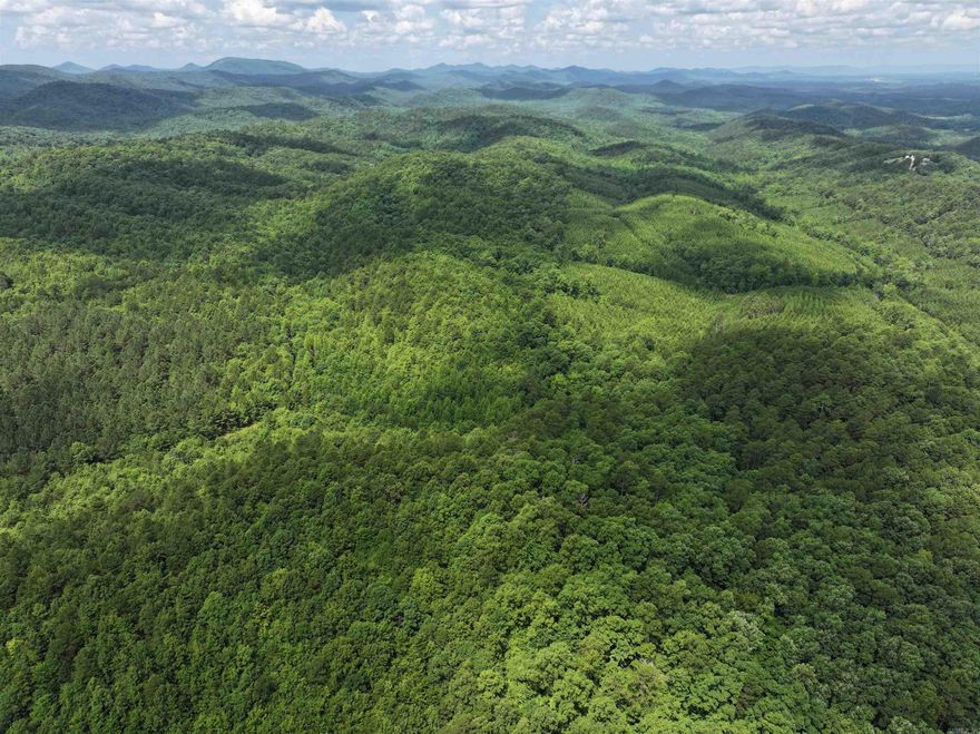 200 Acres that joins National Forest! Multiple high building sites with unparalleled views! Property with tons of wildlife! Property has beautiful mature Pine and Hardwood trees. Great Access to this property from Polk Road 61 and Polk Road 62.  New Roads built on this property!  Owner financing available.