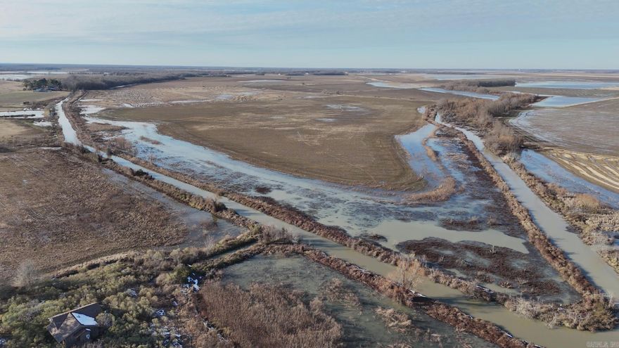 This property consists of 146.0 +/- acres of leveled cropland that currently produces rice and other row crops. The remaining acreage is mixed-age hardwood timber reservoir, and drainage ditches.  Wildlife and Hunting The woods on the property offer outstanding duck and deer hunting. The reservoir area has pipes in place, so you flood the timber area for a wonderful timber hunting experience. The field area is also leveled and surrounded by a levee for a wonderful duck hunting area. Currently this area is planted to rice as a food plot.  Water Resources This property has two irrigation wells that provide water for the farming operation.  Income Streams This property is currently farmer owned for the 2025 crop year. They would consider a leaseback on the farmland to continue the current farming operation. Additional income could also be generated from a yearly hunting lease.