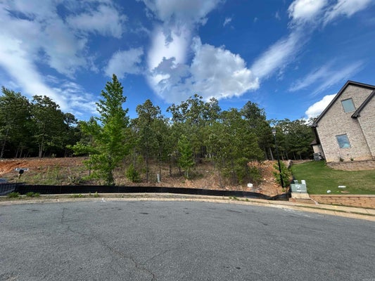 3 ARAPAHO CV, MAUMELLE, AR 72113 - Image dcaa49f75a9d84a1a26c099d7fbab03c/1206126195
