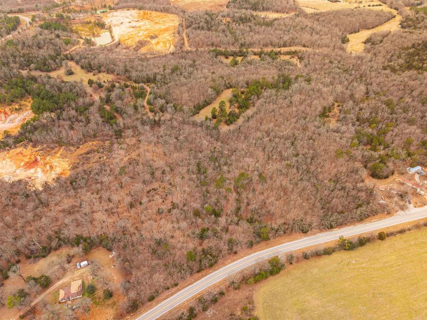 POSSIBILITIES! Build your dream home on this 22-acre parcel just 5 minutes outside Cave City or use it as a hunting spot. There are no restrictions on the property. Utilities are on the road, but not on the property. Fiber internet is available. Grange/Calamine Water. NAEC electricity.