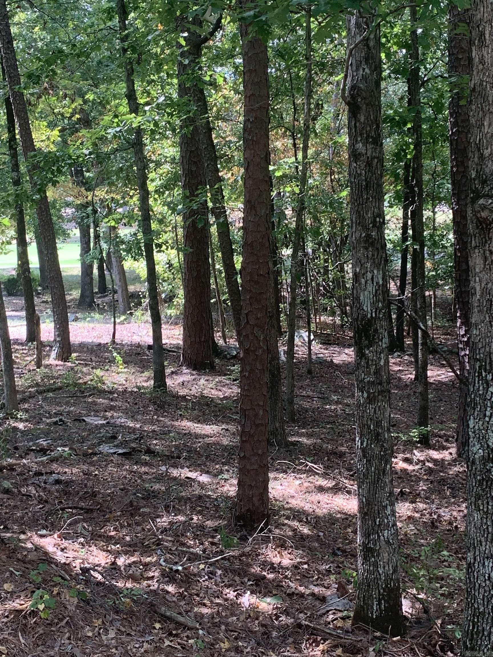 Sendero - Land