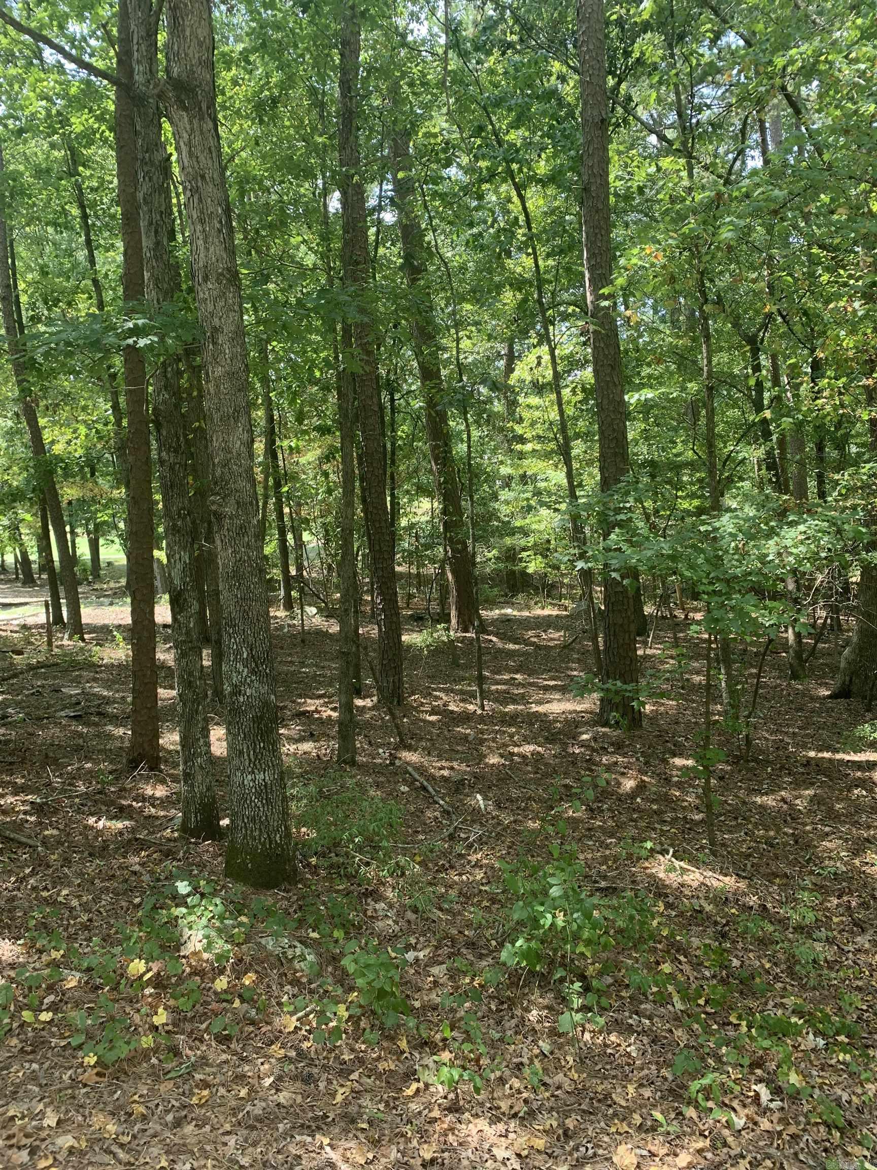 Sendero - Land
