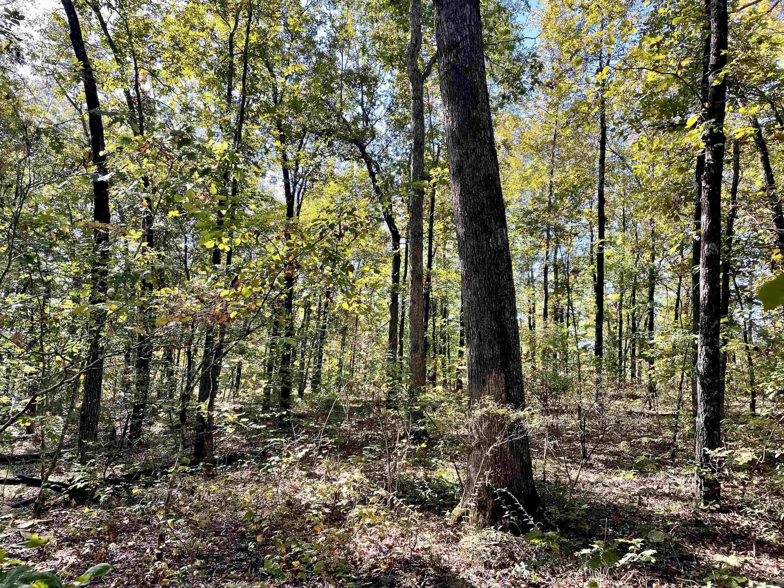 Not in Subdivision - Land