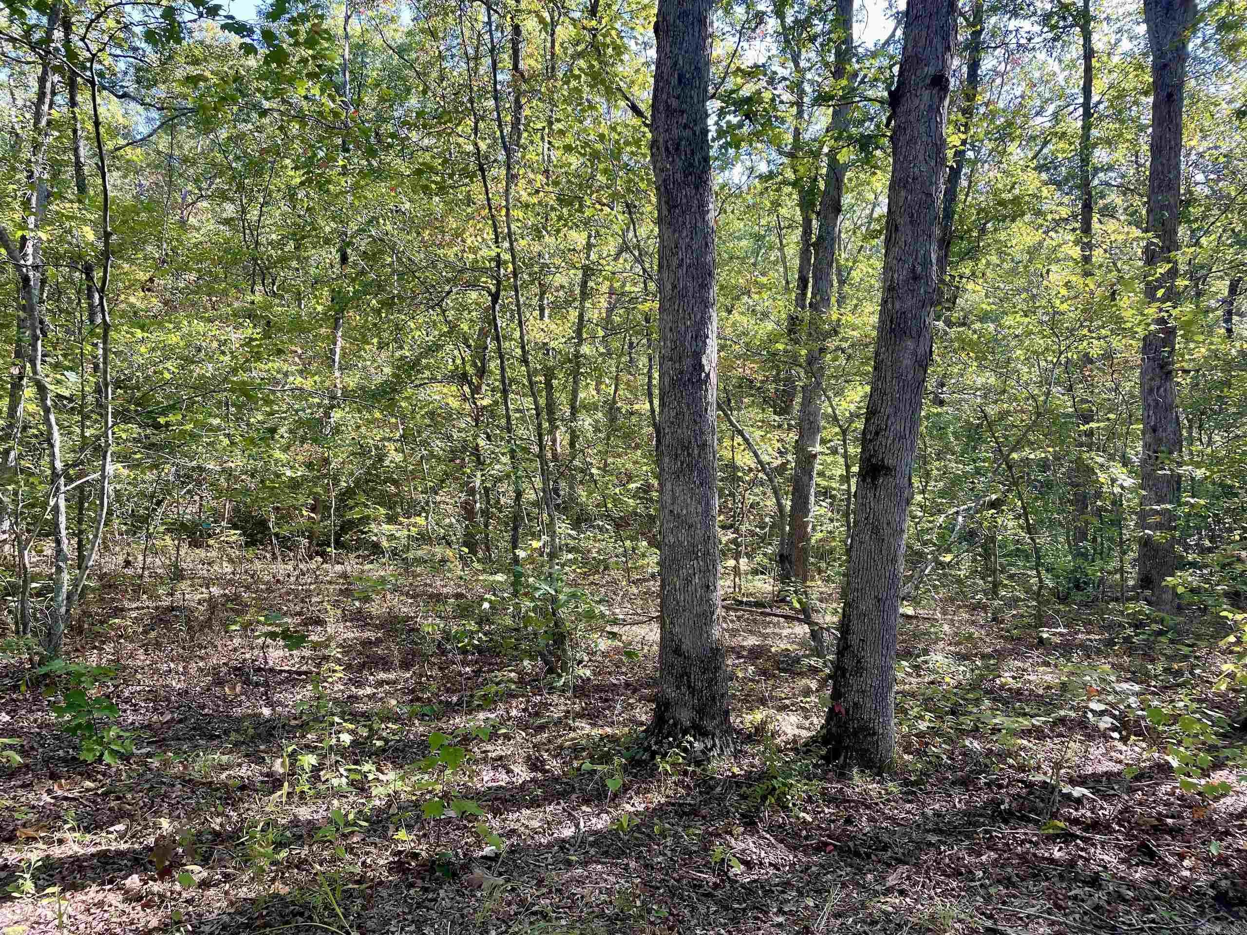 Not in Subdivision - Land