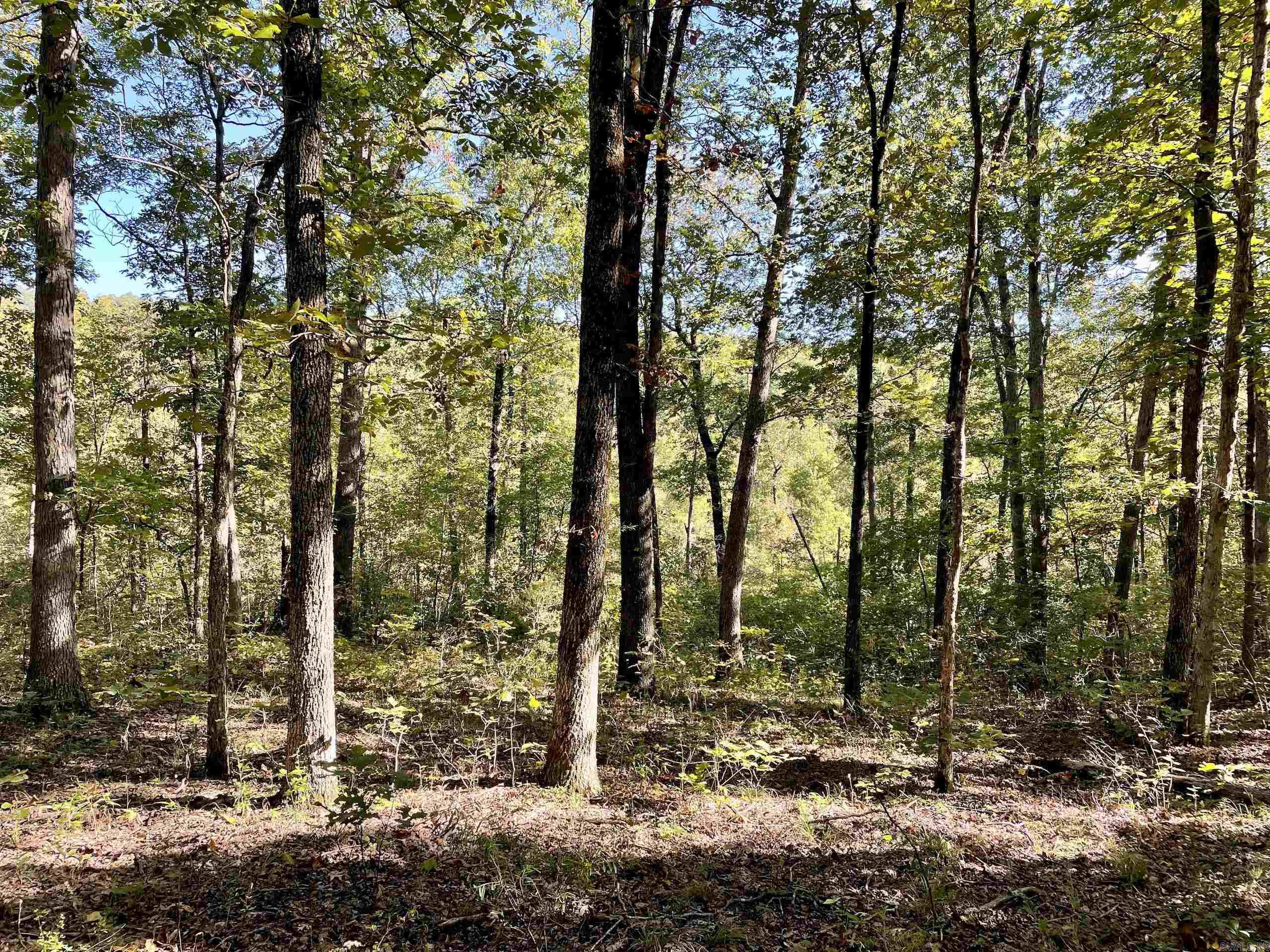 Not in Subdivision - Land