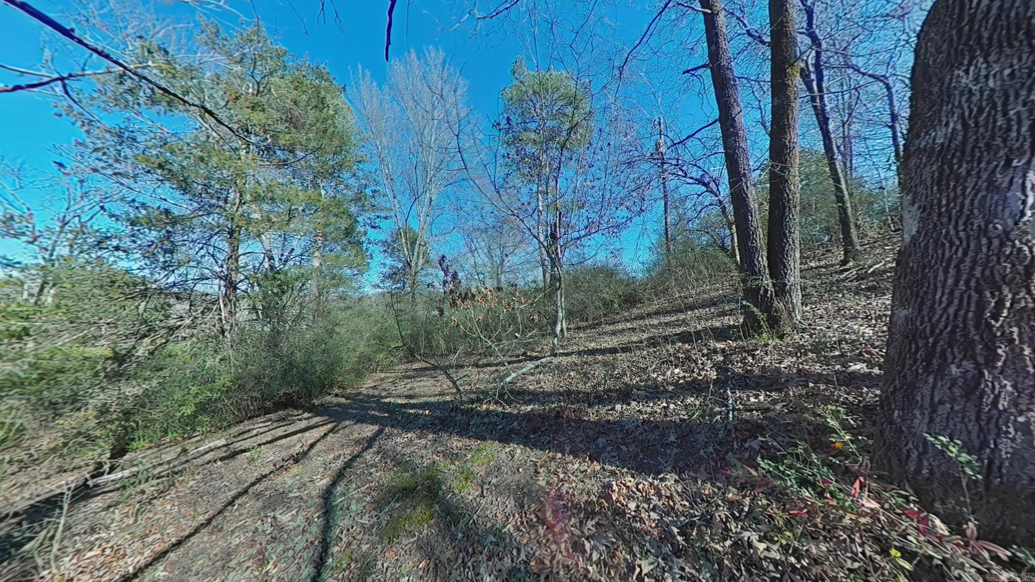 Lippincotts - Residential