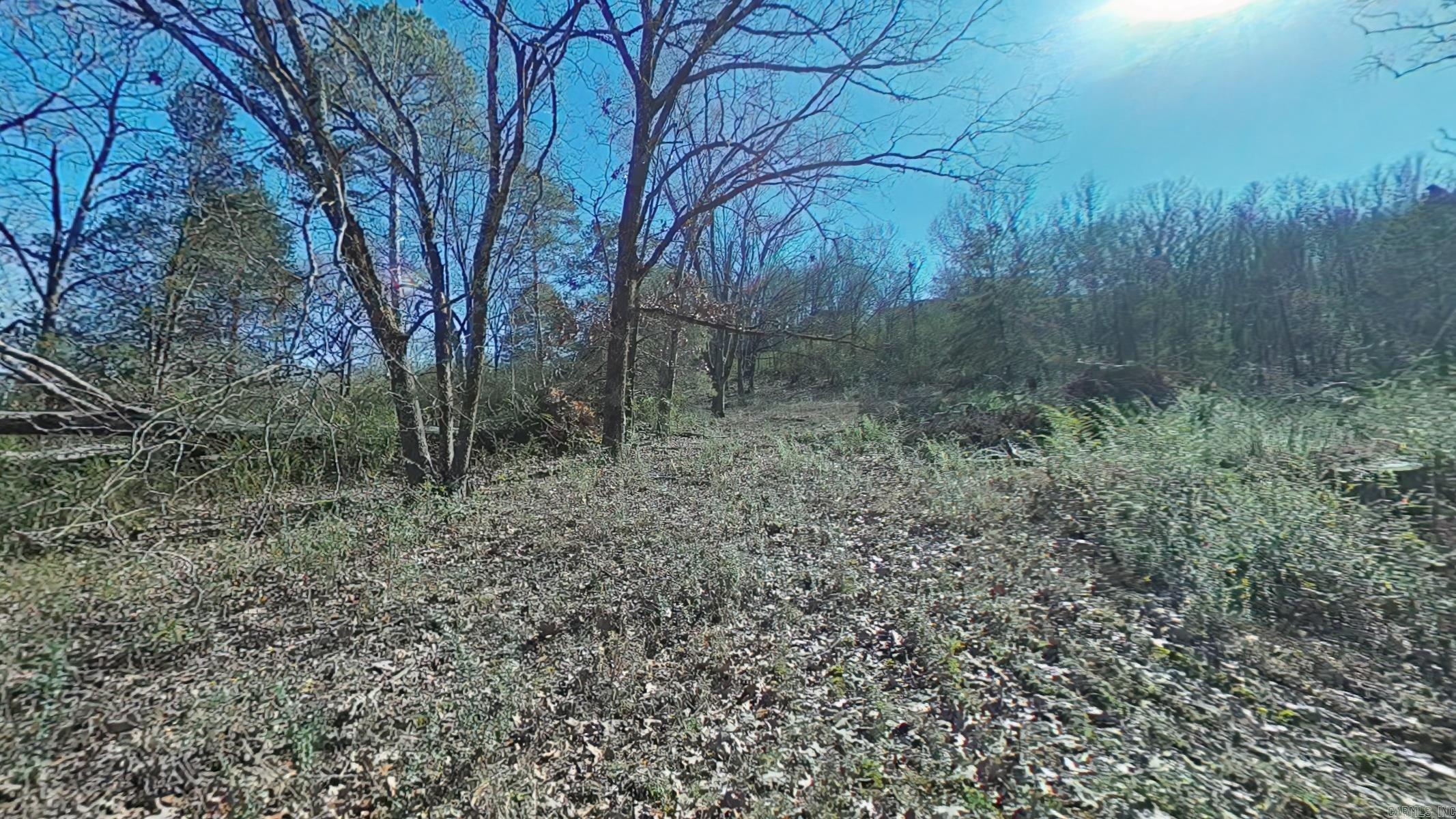 Lippincotts - Residential