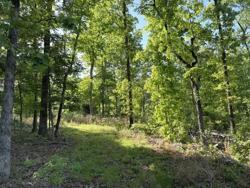 Surveyed, 30 Acres with electric! The acreage is mostly wooded, with a decent-size trail throughout part of the property, and it already has a pad for a camper, plus the hookup is there for one as well. Easy access, right off of Highway 63, this is a great property to build your dream home, or set up camp for deer or turkey hunting!