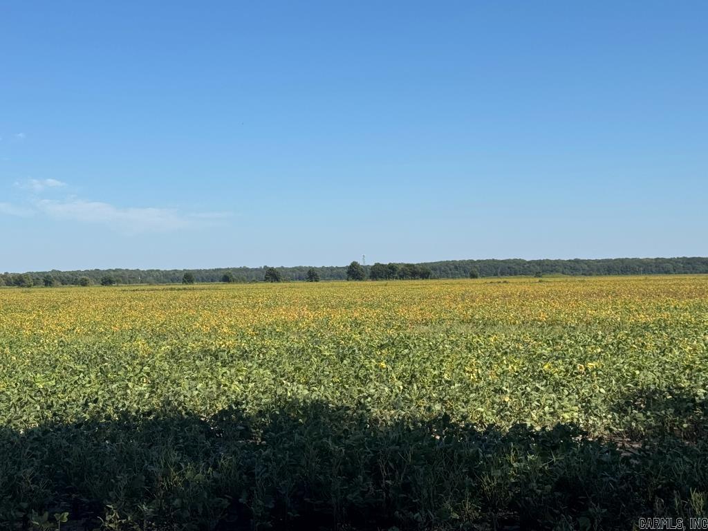 Metes & Bounds - Farm