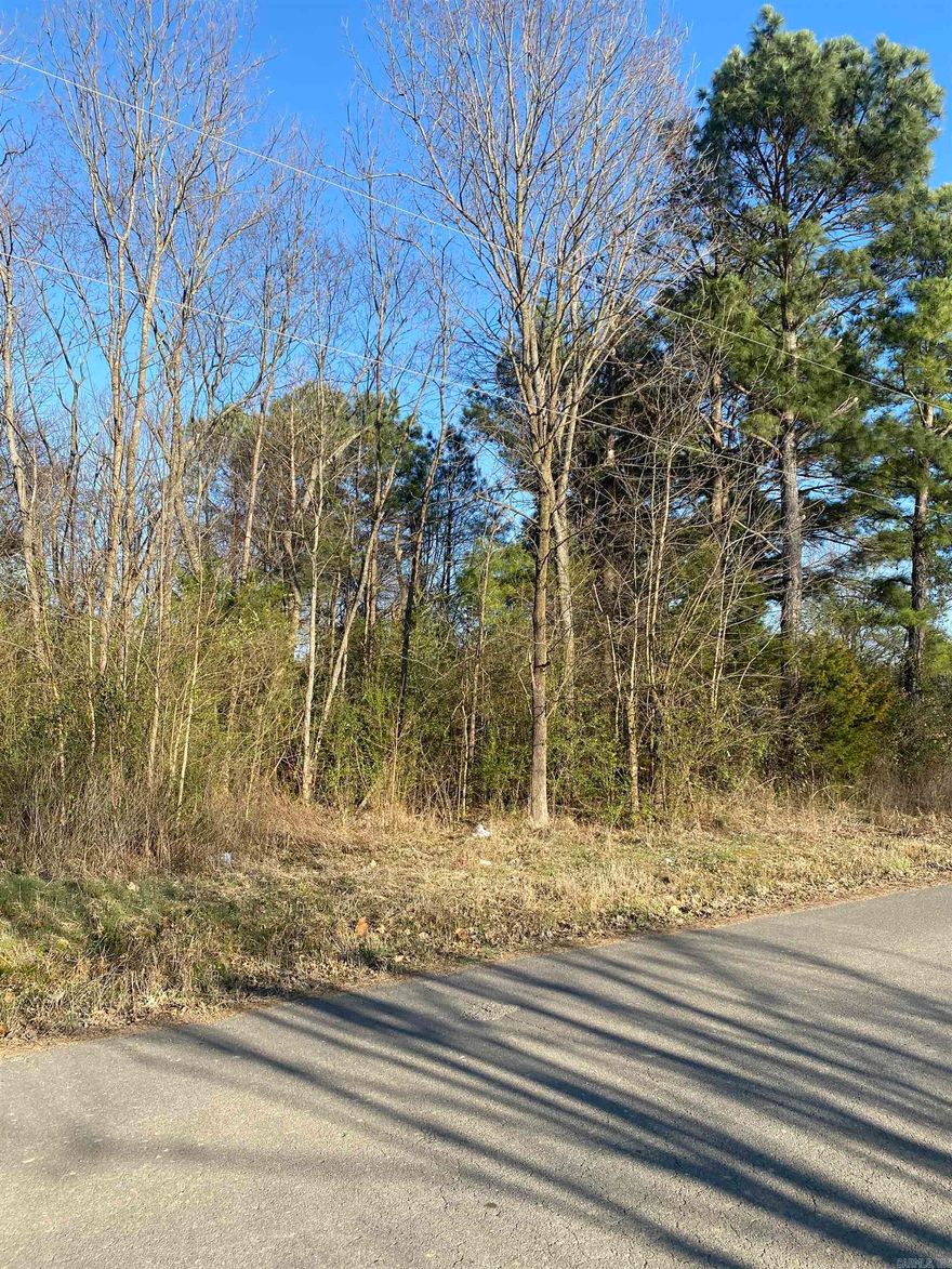 Hard to find a Conway address property with this large of a lot!