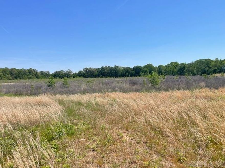 Here is a chance to own your own 40 acres for deer hunting. Approximately 10 acres of large hardwood timber. The remainder is great for rabbit, squirrel, or great cover for deer. Or plant in food plots.