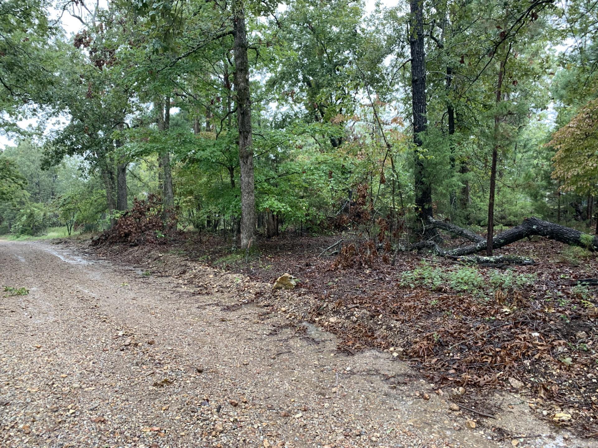 Wooded Lot, Close to Norfork Lake, No Restrictions, Ready to be Your New Build Site! .15 AC M/L $12,500