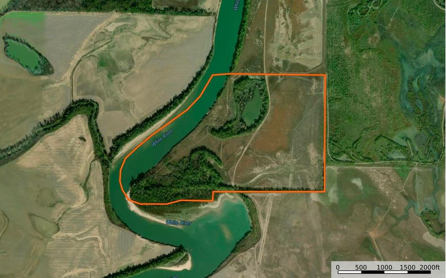 Sold Before Listed - Great Ag property on the White River in Woodruff Co. near White Oaks Duck Woods.