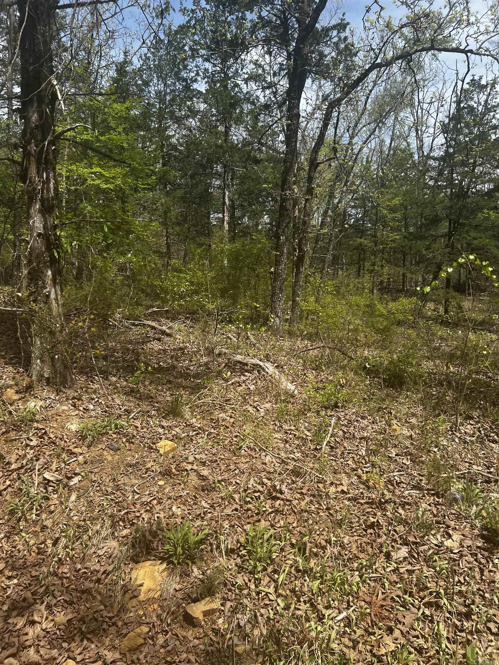 Metes & Bounds - Land