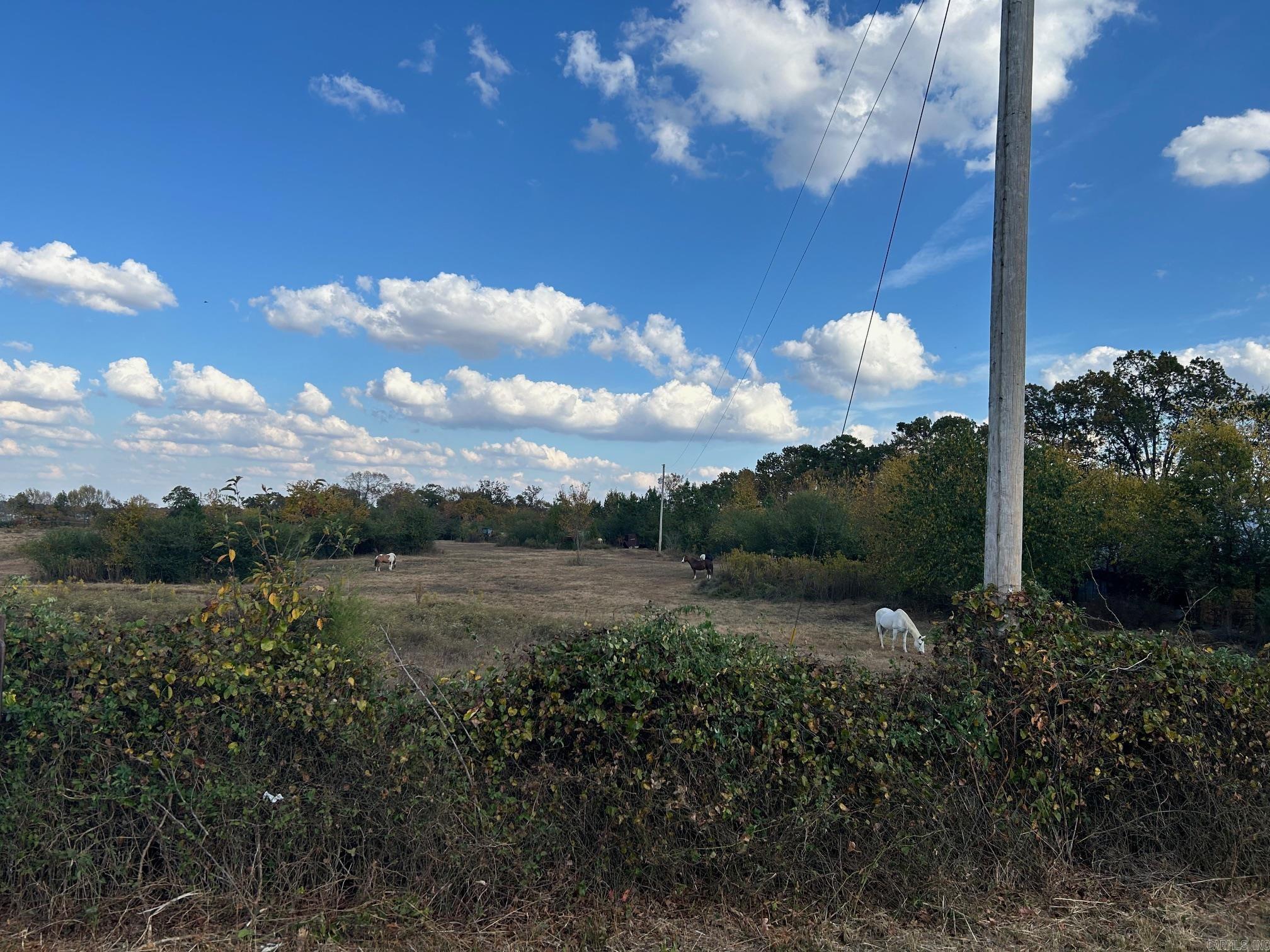 Metes & Bounds - Land