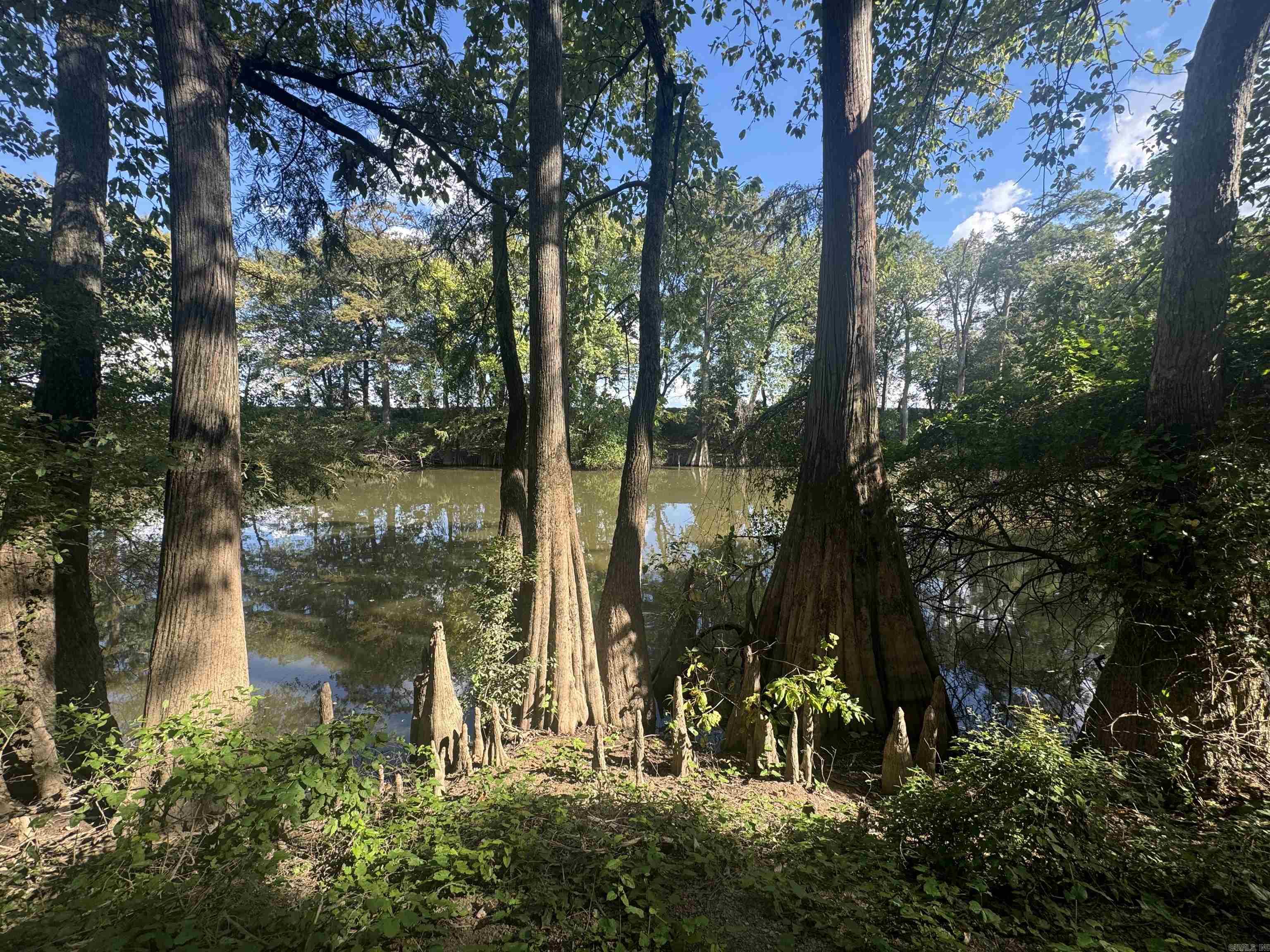 Once in a lifetime opportunity to own your private retreat on the Bayou Meto in Remington Estates!! This 12.9 acres is boasting with several opportunities to make your own vision become a reality. There is 700 foot of waterfront on the Bayou Meto lined with huge Cypress trees and boat ramp for entry as well as a 1+ acre stocked pond. This plot sits off the road for seclusion and would make a great hunting club or RV park if searching for an investment property. There is electric on property, water at highway 15 and also has a well on site. Easy access to Little Rock being only 1 mile from interstate 40. Beautiful property with large pavilion/floating dock over looking the pond and a 1 bedroom house that is included in the sale but will have to be moved on site. Lots of opportunity here so come check it out today and make this retreat your own piece of paradise!!