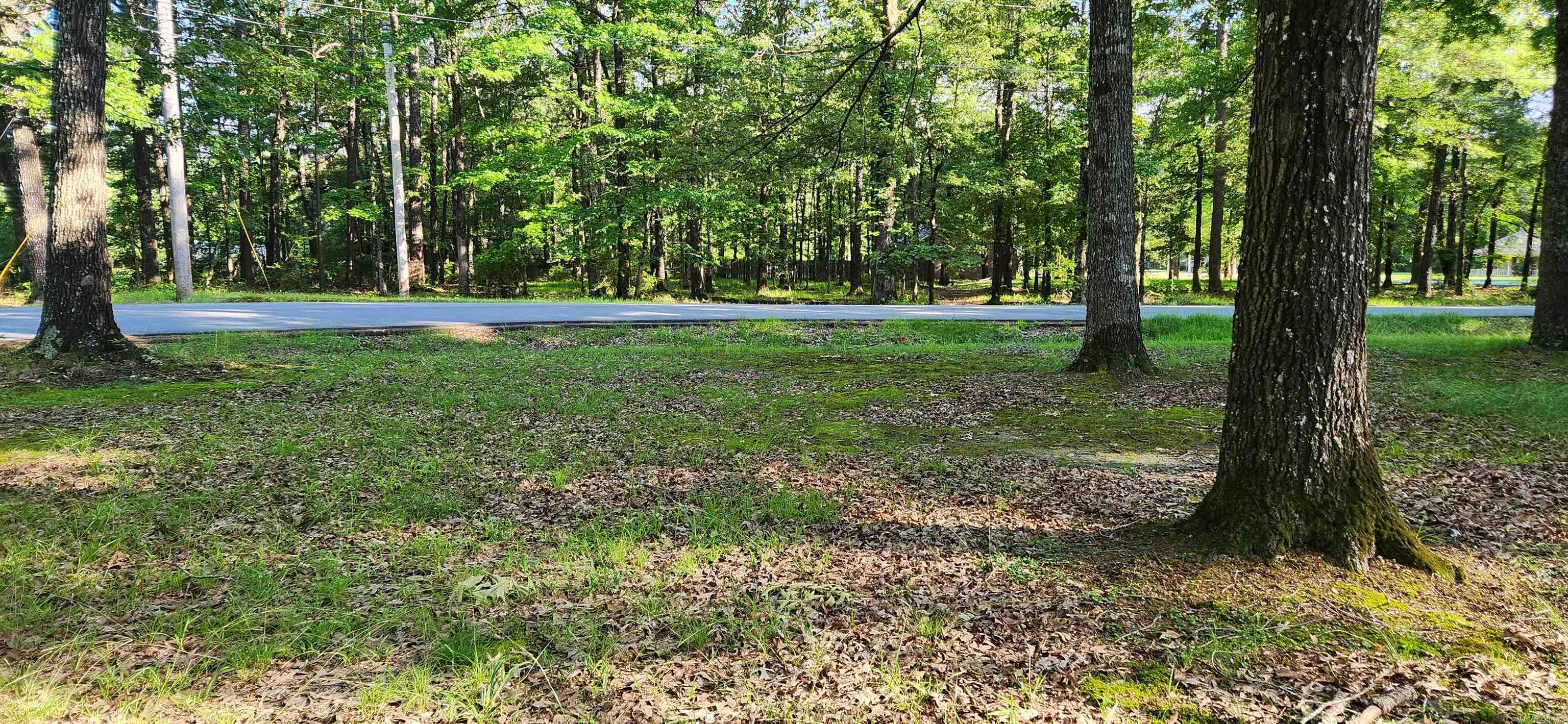 PLEASANT FOREST S/D NORTH - Residential