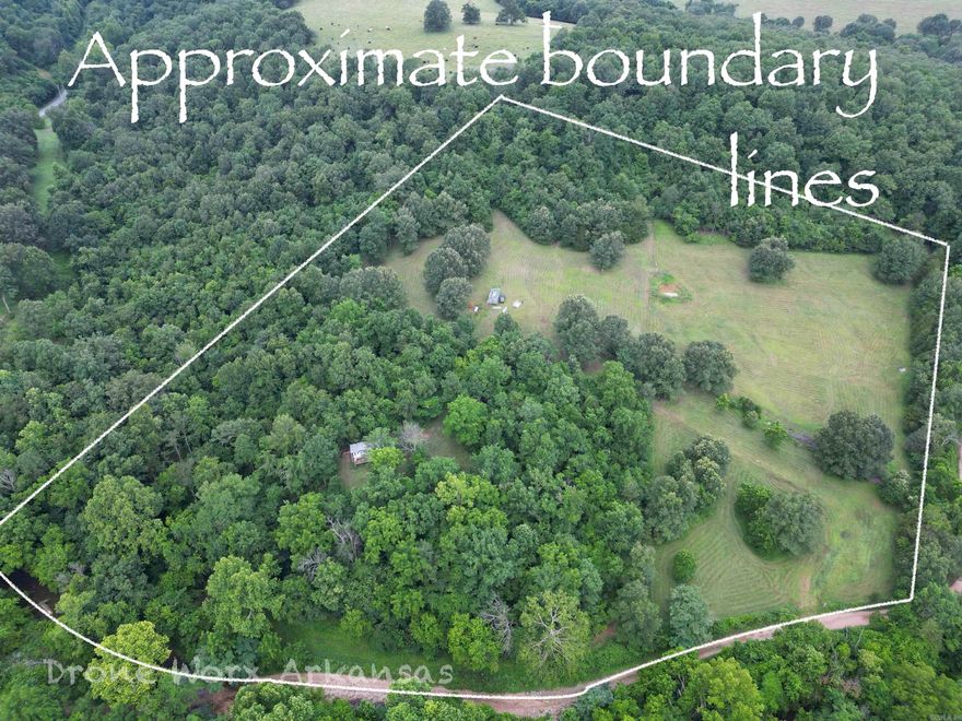 13 acres with a good mix of pasture and woods and a creek at the bottom corner. With some perimeter fence and cross fencing, this would make the perfect spot for a homestead with goats, chickens, pigs or whatever you wanted.  The uphill slope allows for a build site with a view.  Just a short drive to Yellville or Harrison for all your needs. If you're looking for a peaceful place to call home or just a little more grazing land for livestock, this is worth the look.