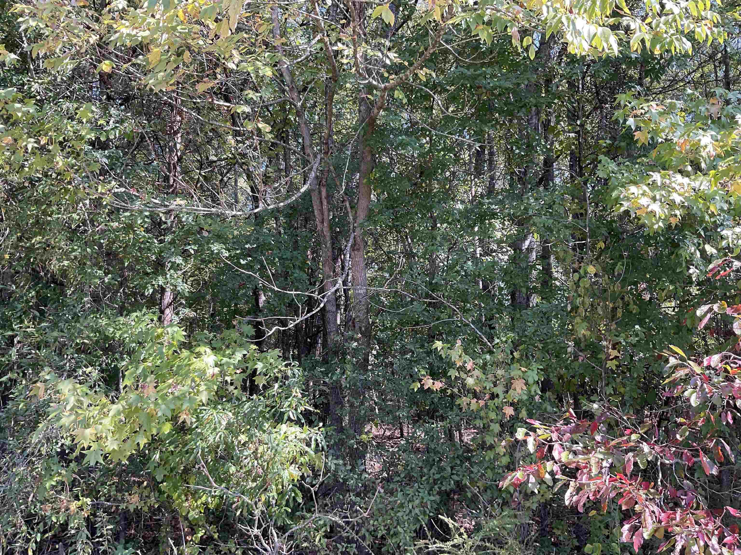 Not in Subdivision - Commercial Sale