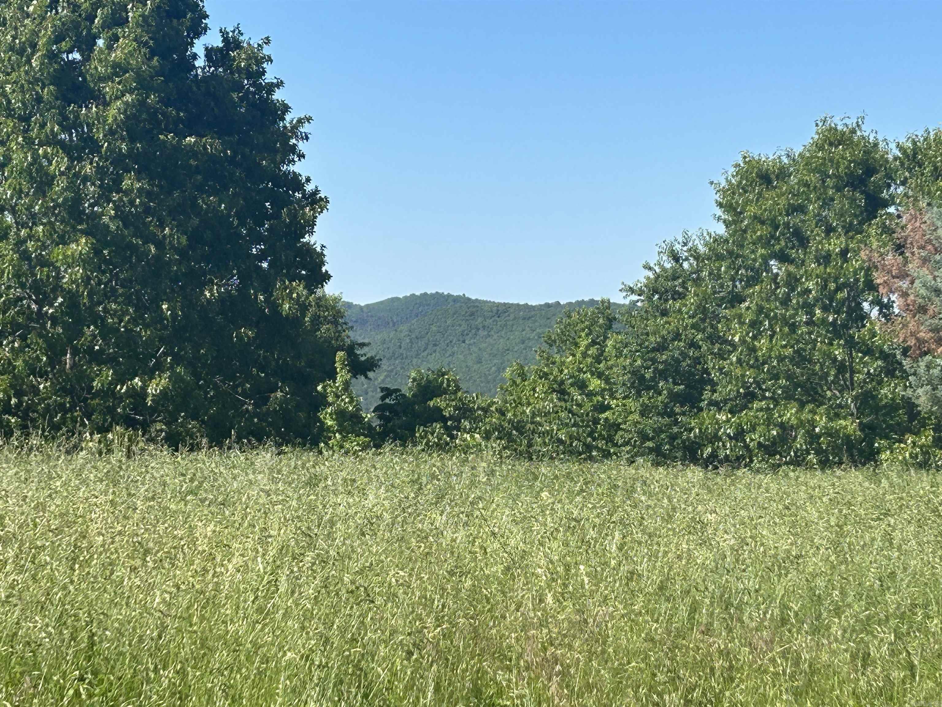 Blessing - Land
