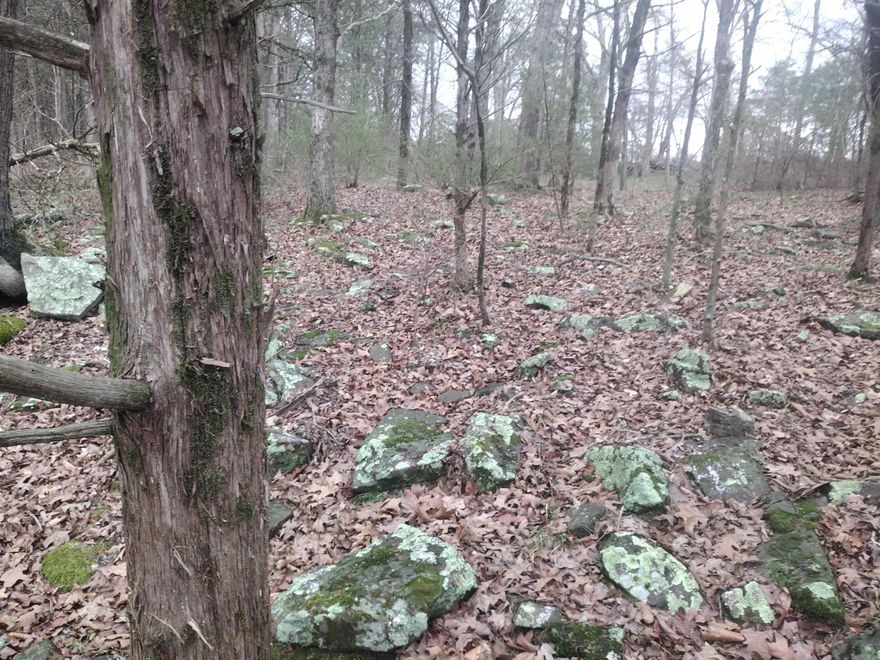 Looking for land for your next adventure, hobby farm, homestead, or future home site ? This property offers a great mix of open pasture and has some woods, A small creek on back side of property. It is mostly pasture so would be ideal for livestock with your new home if you build on the back of property you could site on the porch and watch you animals listen to the creek and enjoy Mountain views