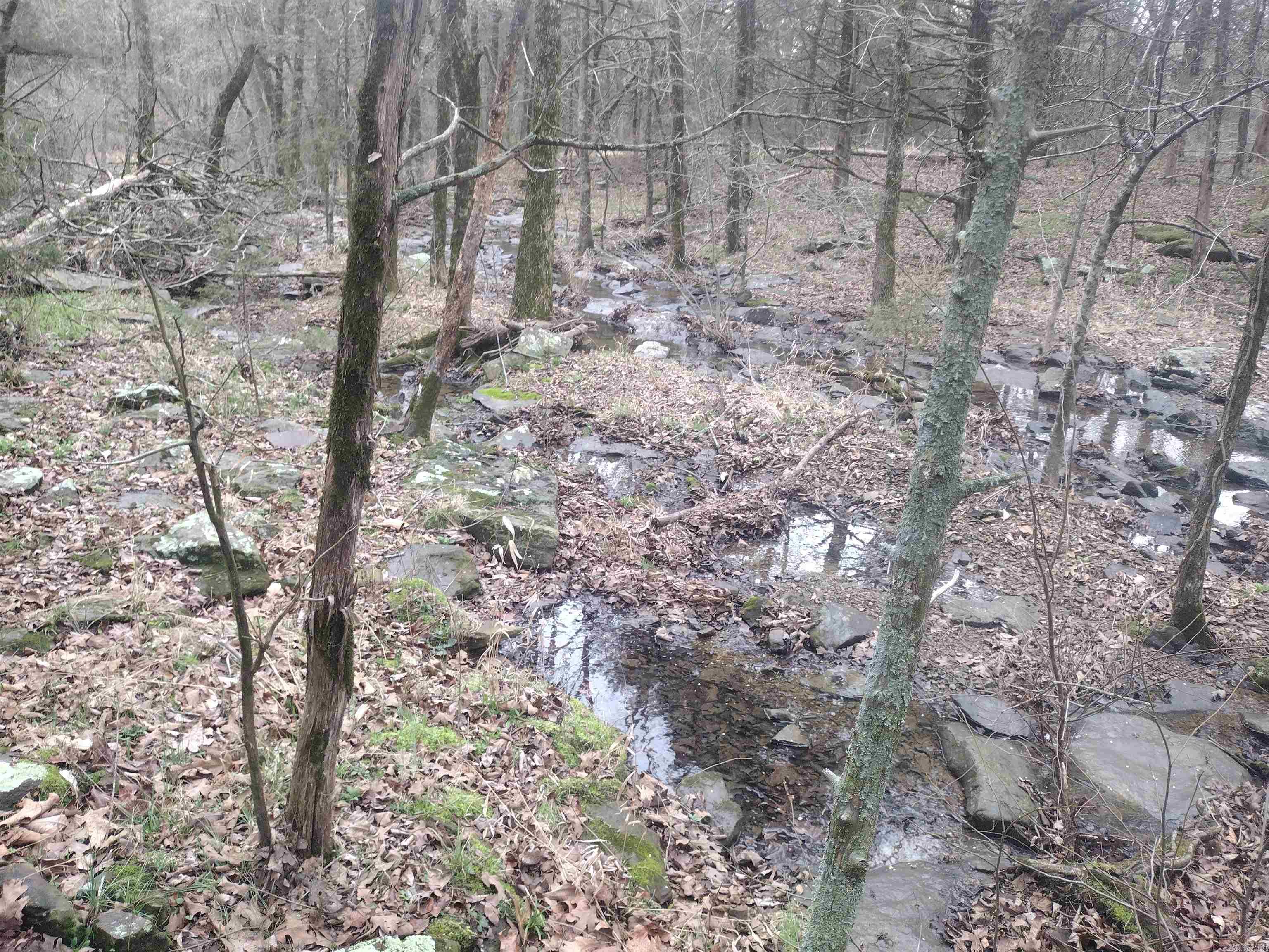 Metes & Bounds - Land