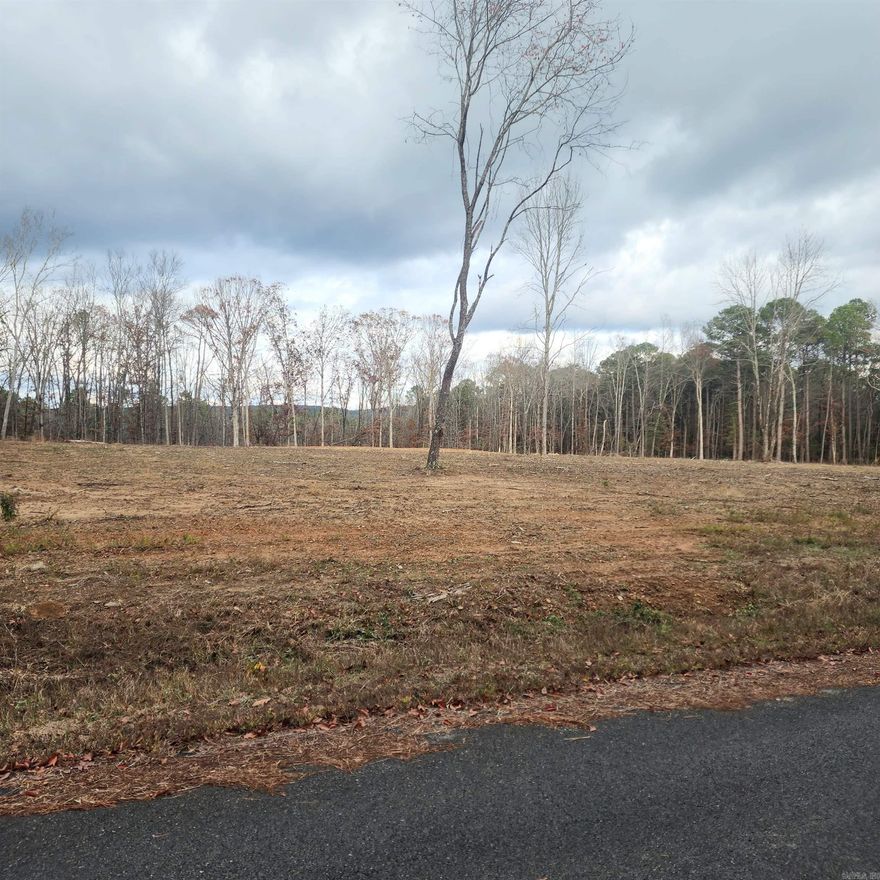 PRIME 10.82 Acres with NO RESTRICTIONS – Your Dream Property just a stone's throw from Greers Ferry Lake!  The seller has already cleared a good portion of the property to make it ready for building. Whether you’re dreaming of a lakefront retreat, a primary home, or even a tiny home village, the possibilities are endless. With water and electricity already available at the road, the infrastructure is almost ready to go. This is a rare opportunity to own a piece of land in such a sought-after area without restrictive zoning or HOA rules. Don't miss out on the chance to make your vision a reality on this incredible piece of property!