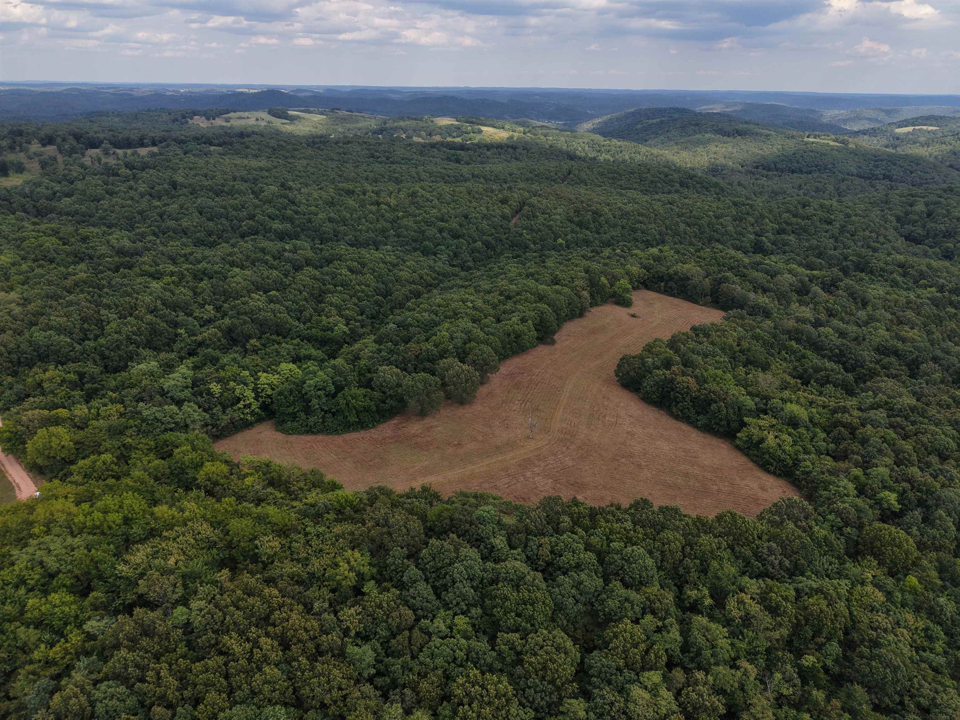 Welcome to Love Point Acres, a stunning 186-acre property in the Ozark Mountains of Arkansas. This versatile tract offers the perfect blend of open pastureland and beautiful wooded acreage. The land features a well-maintained trail system, ready to explore. A large pond provides both a scenic centerpiece and a reliable water source for wildlife, livestock, or fishing opportunities. With abundant wildlife, this property is well-suited for hunters and outdoor enthusiasts. In addition to its recreational appeal, the property includes marketable timber, offering both natural beauty and investment potential. Electric service is available, and there are multiple building sites to choose from, making it easy to envision your future home or cabin getaway. Conveniently located less than 10 minutes from the famous White River, Love Point Acres is ideal for those seeking a recreational retreat, hunting paradise, or a place to build a dream home in the Ozarks.