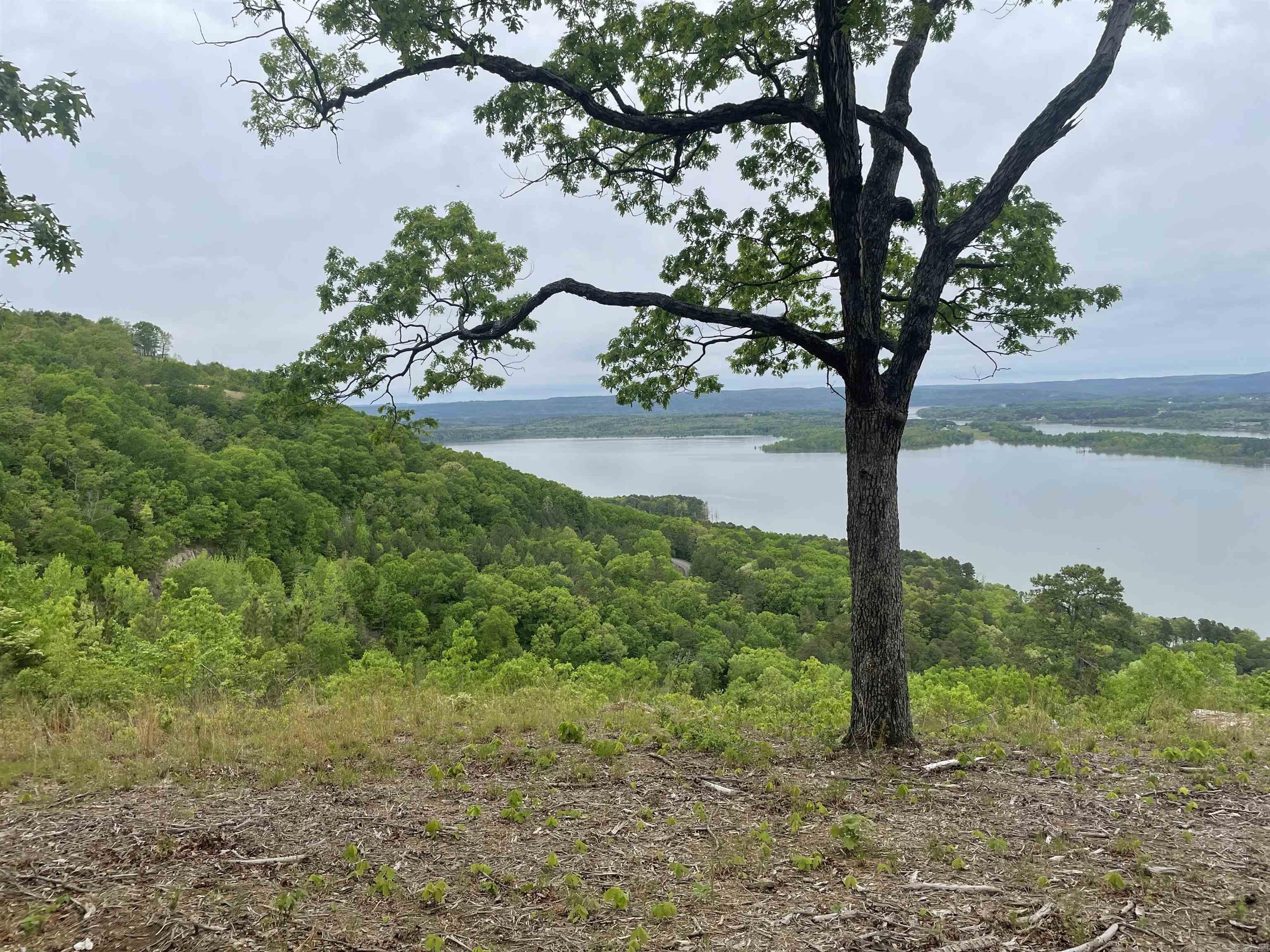Come build your Dream Home on this beautiful mountain top property. It has an endless view of Greers Ferry Lake including the Narrows. Sugarloaf Mountain is in your line of sight. This property was platted into three buildable tracts.