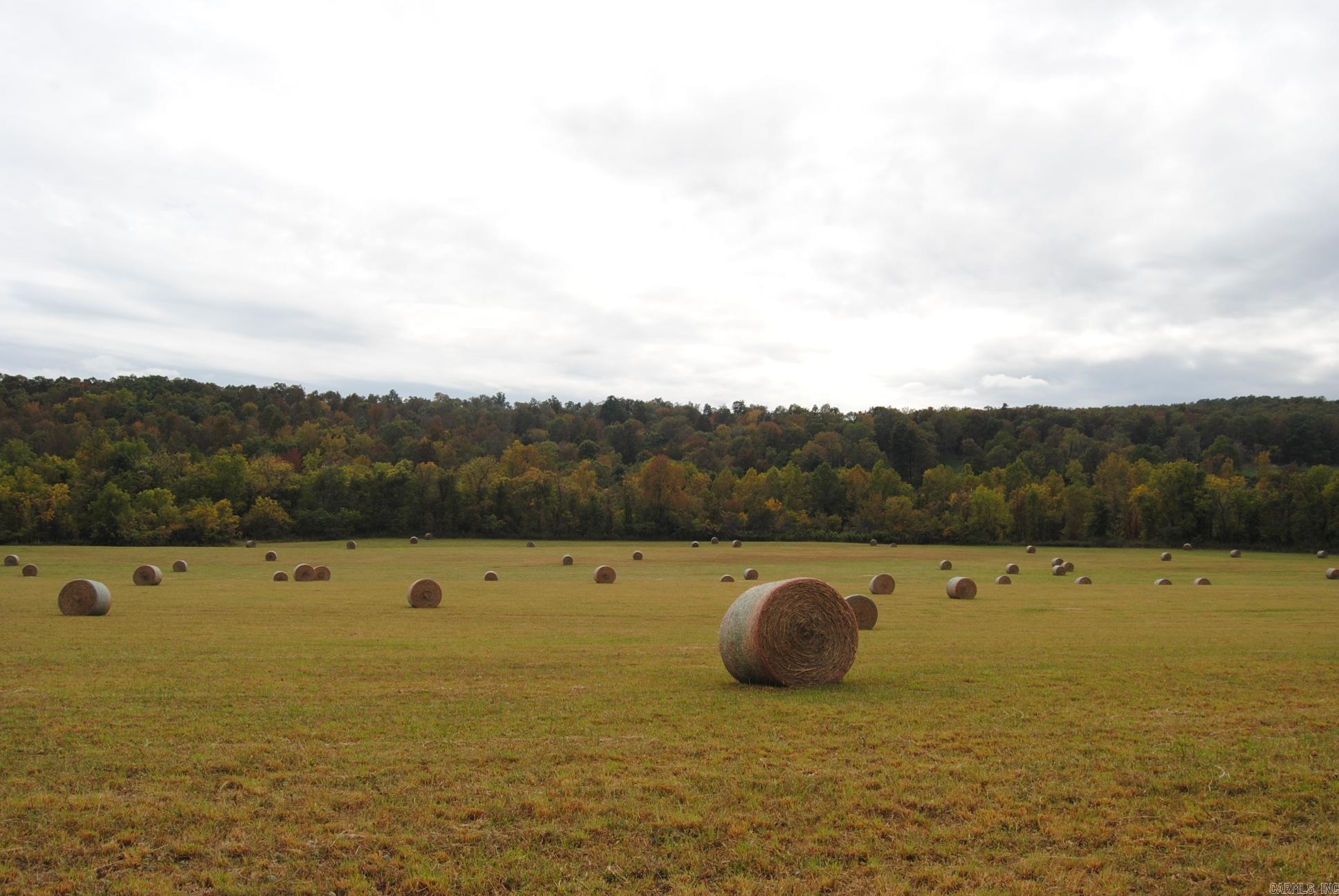 Not in Subdivision - Farm